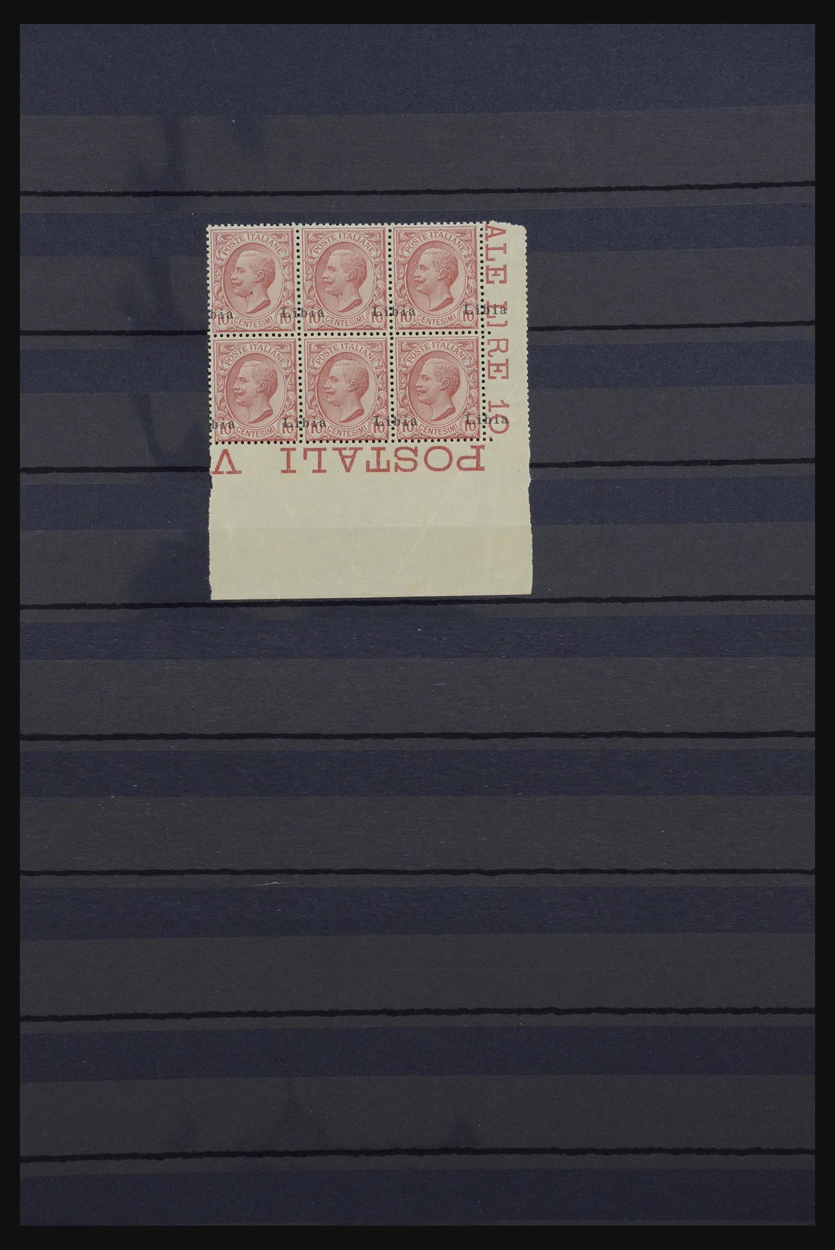 32296 005 - 32296 Lybia varieties 1912.