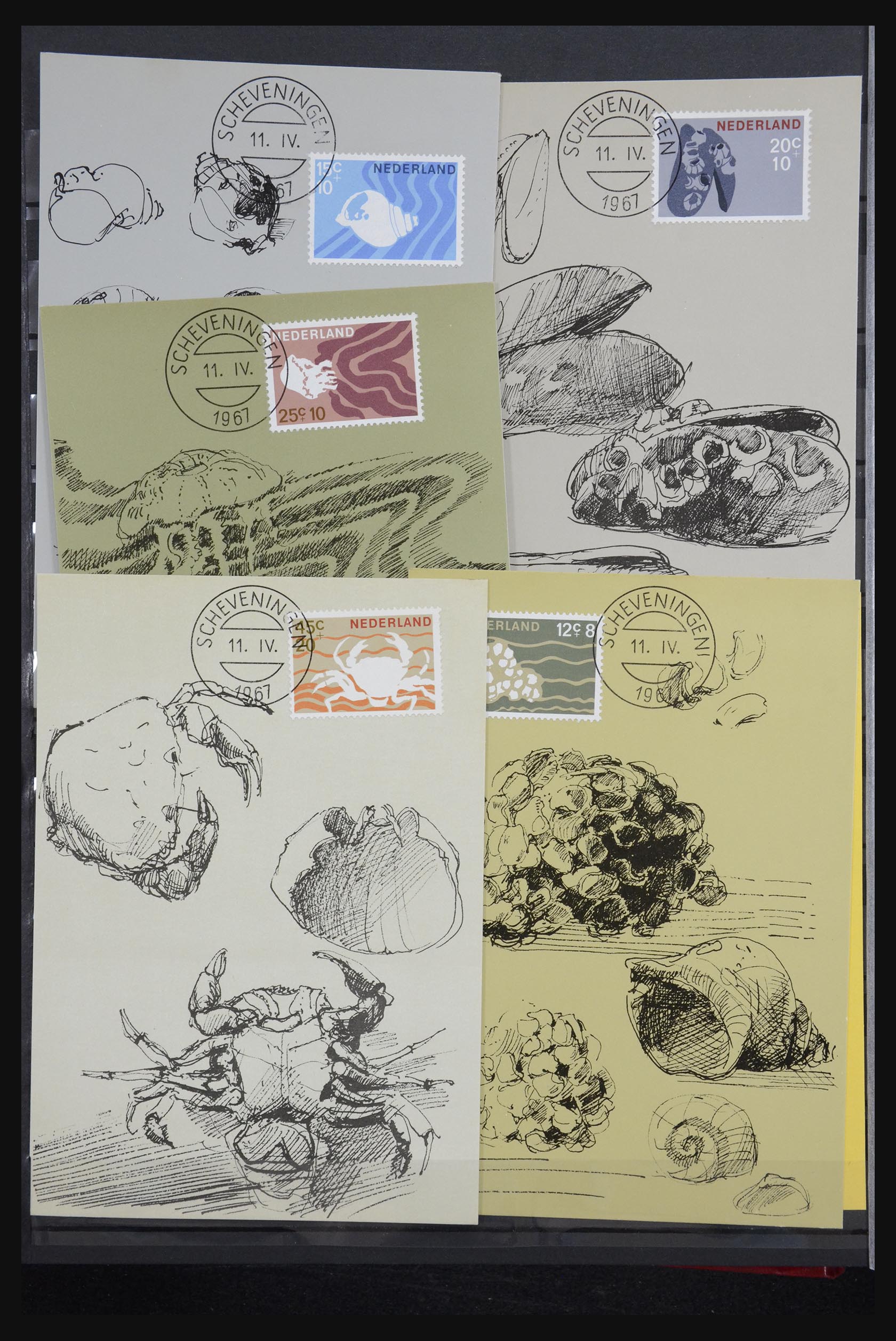 32343 004 - 32343 Netherlands maximum cards 1964-1967.