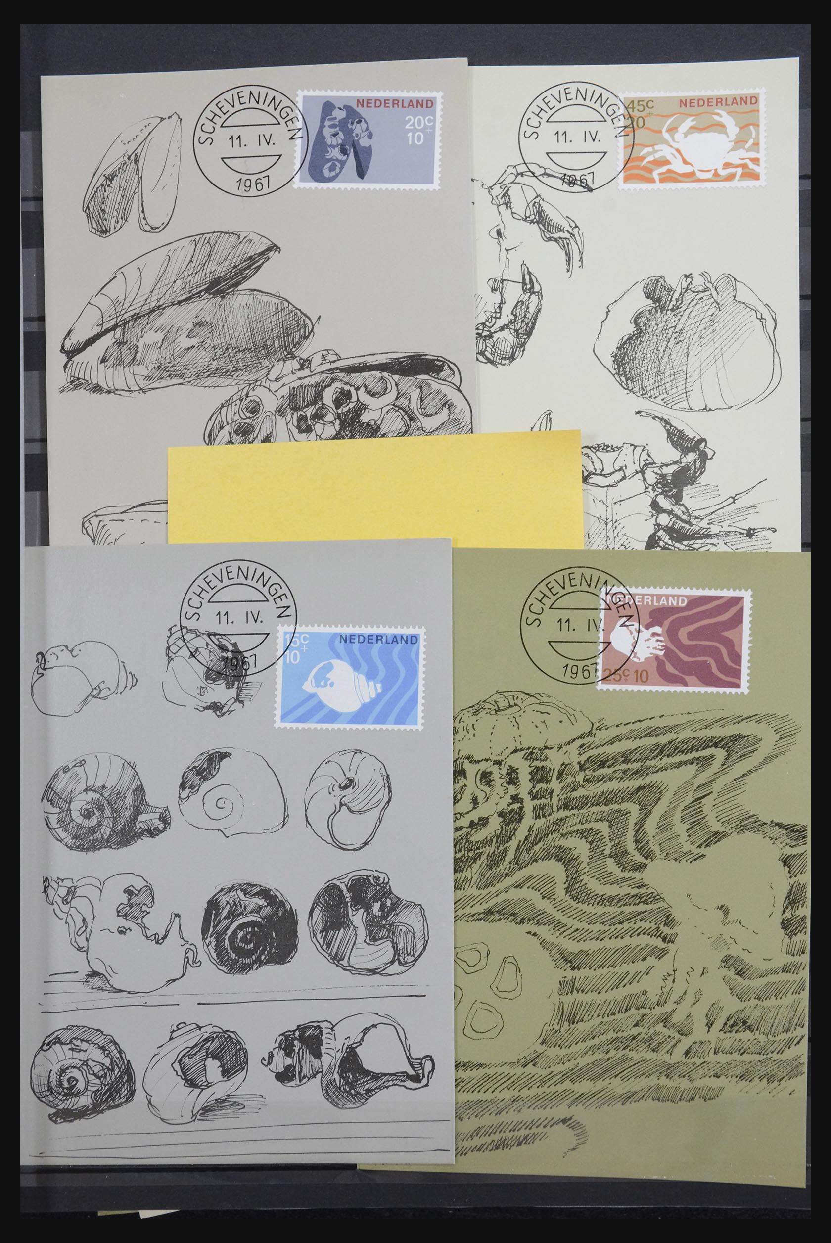 32343 005 - 32343 Netherlands maximum cards 1964-1967.
