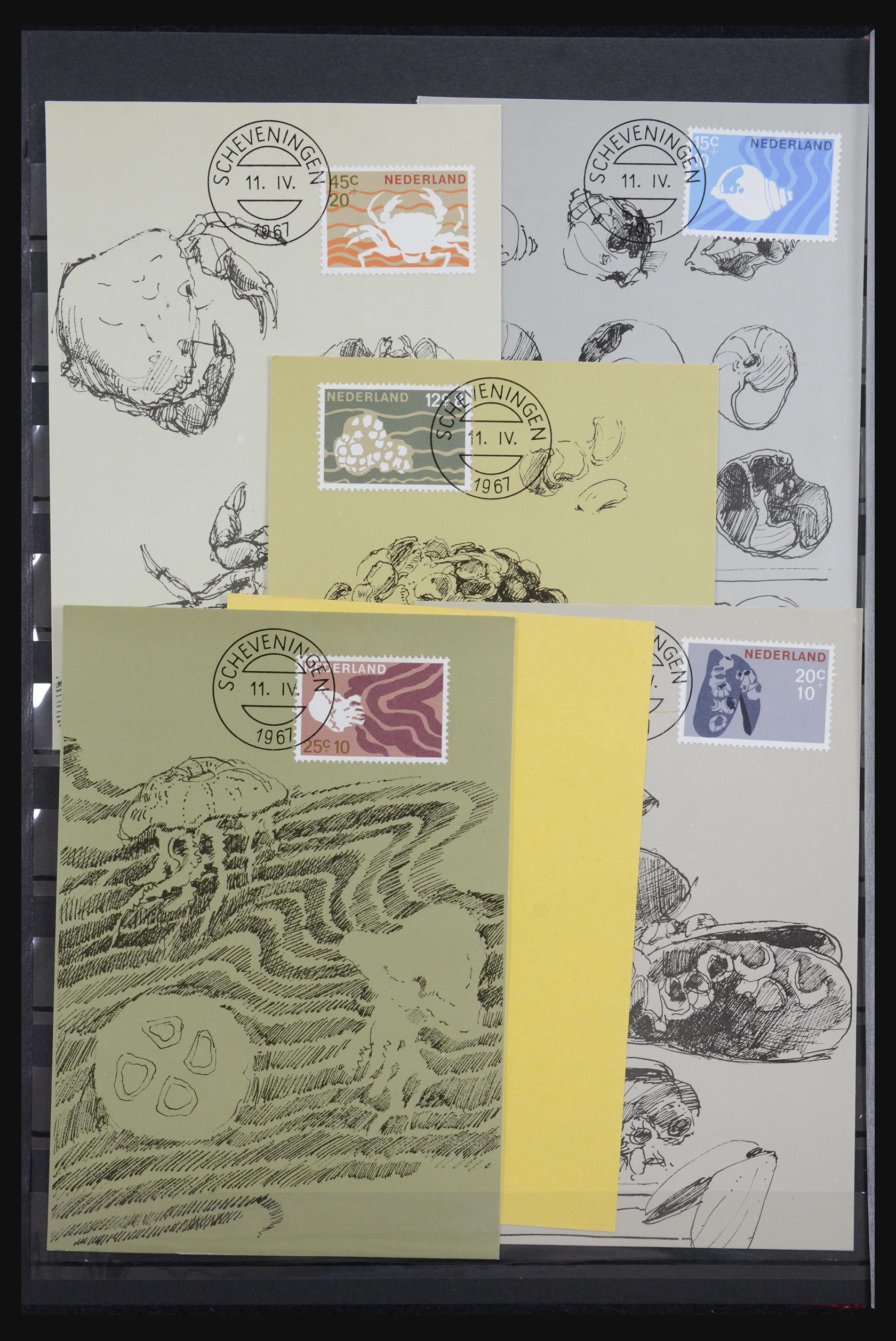 32343 006 - 32343 Netherlands maximum cards 1964-1967.