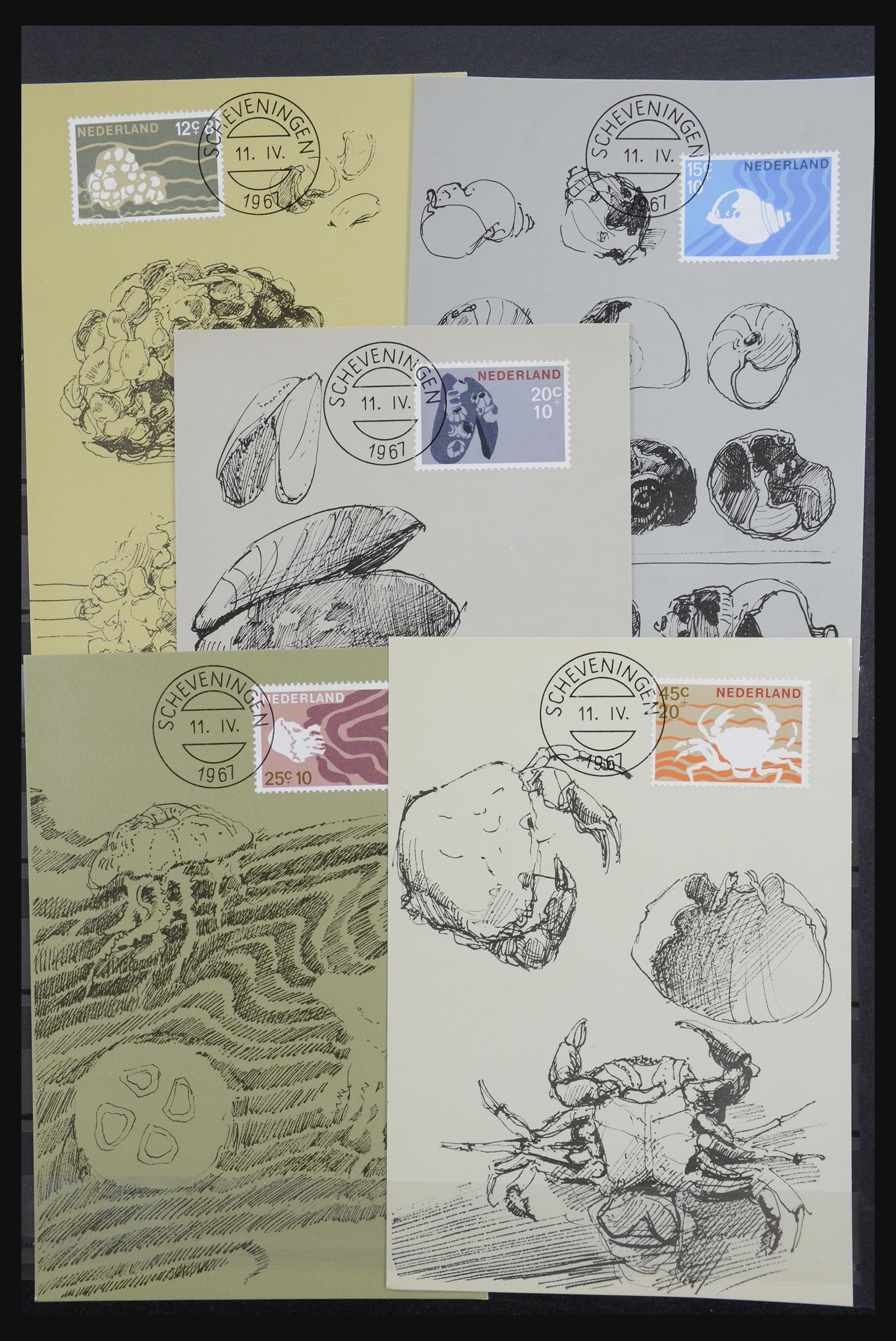 32343 007 - 32343 Netherlands maximum cards 1964-1967.