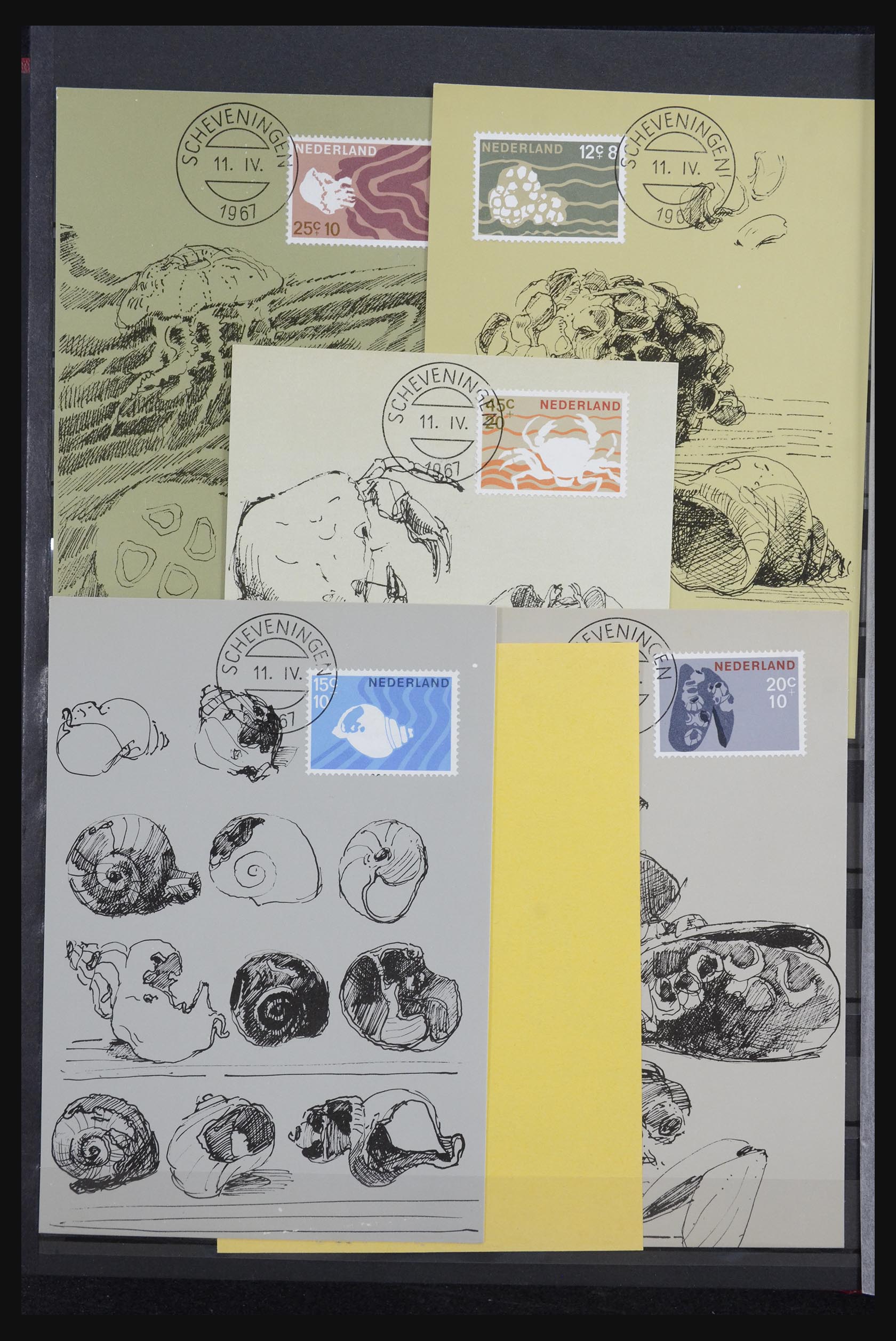 32343 008 - 32343 Netherlands maximum cards 1964-1967.