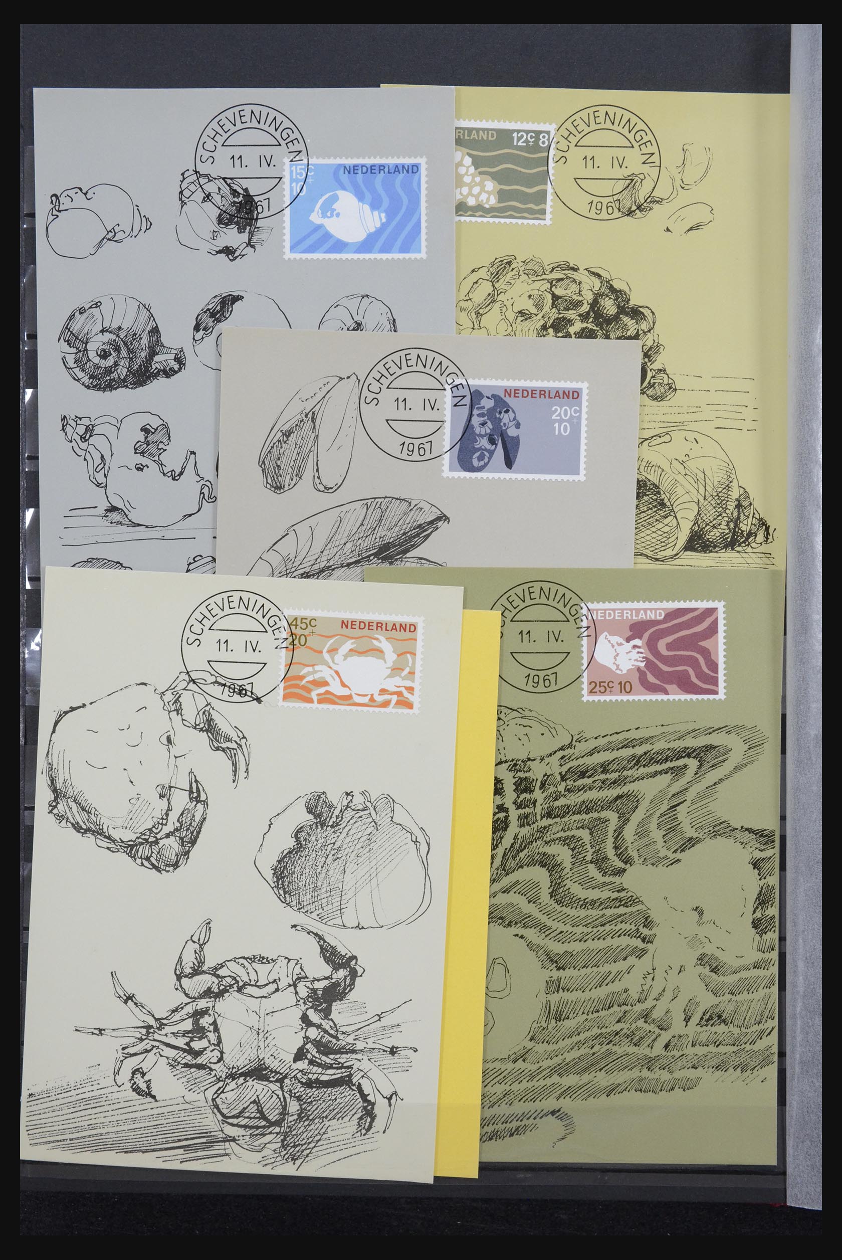 32343 010 - 32343 Netherlands maximum cards 1964-1967.