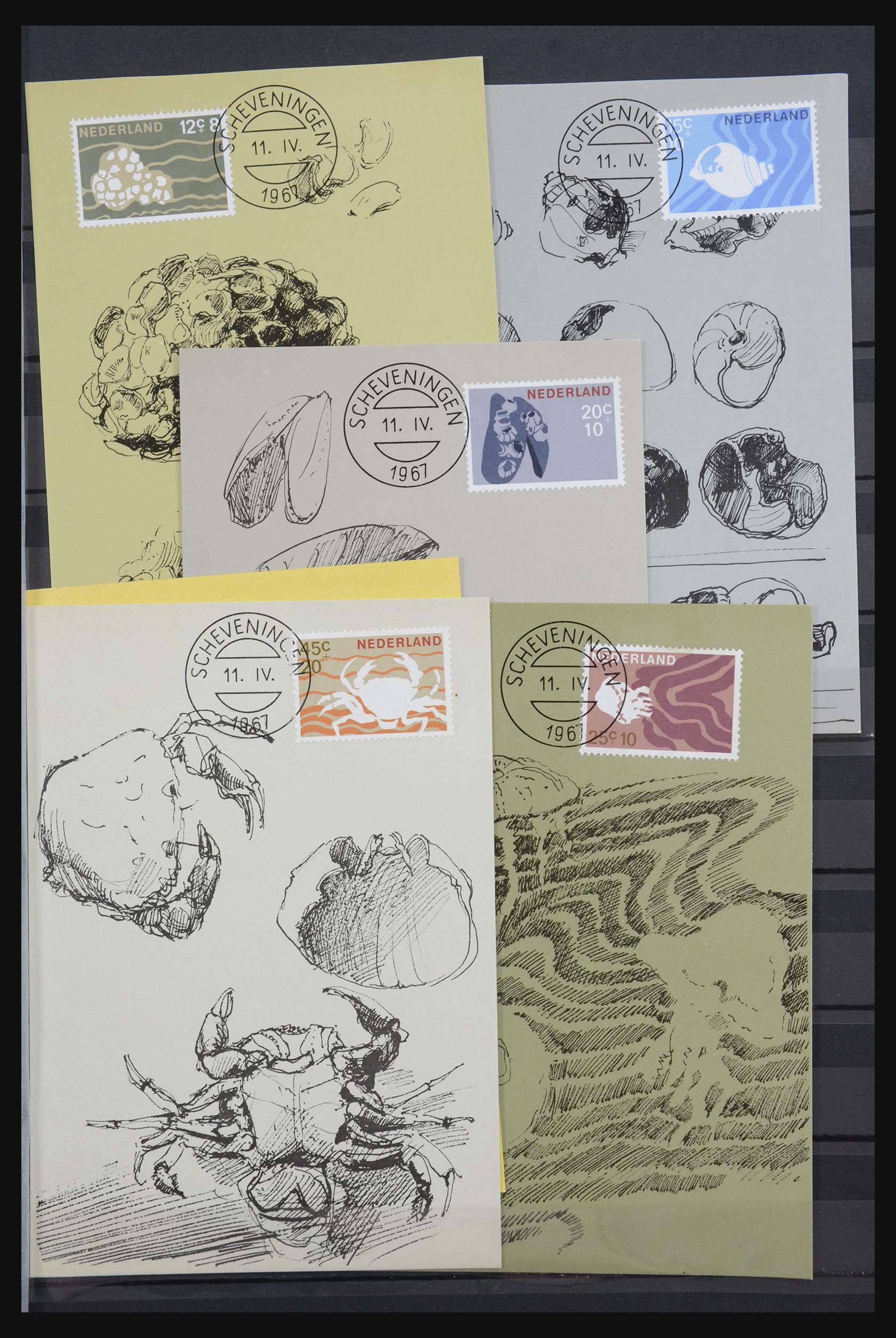 32343 011 - 32343 Netherlands maximum cards 1964-1967.