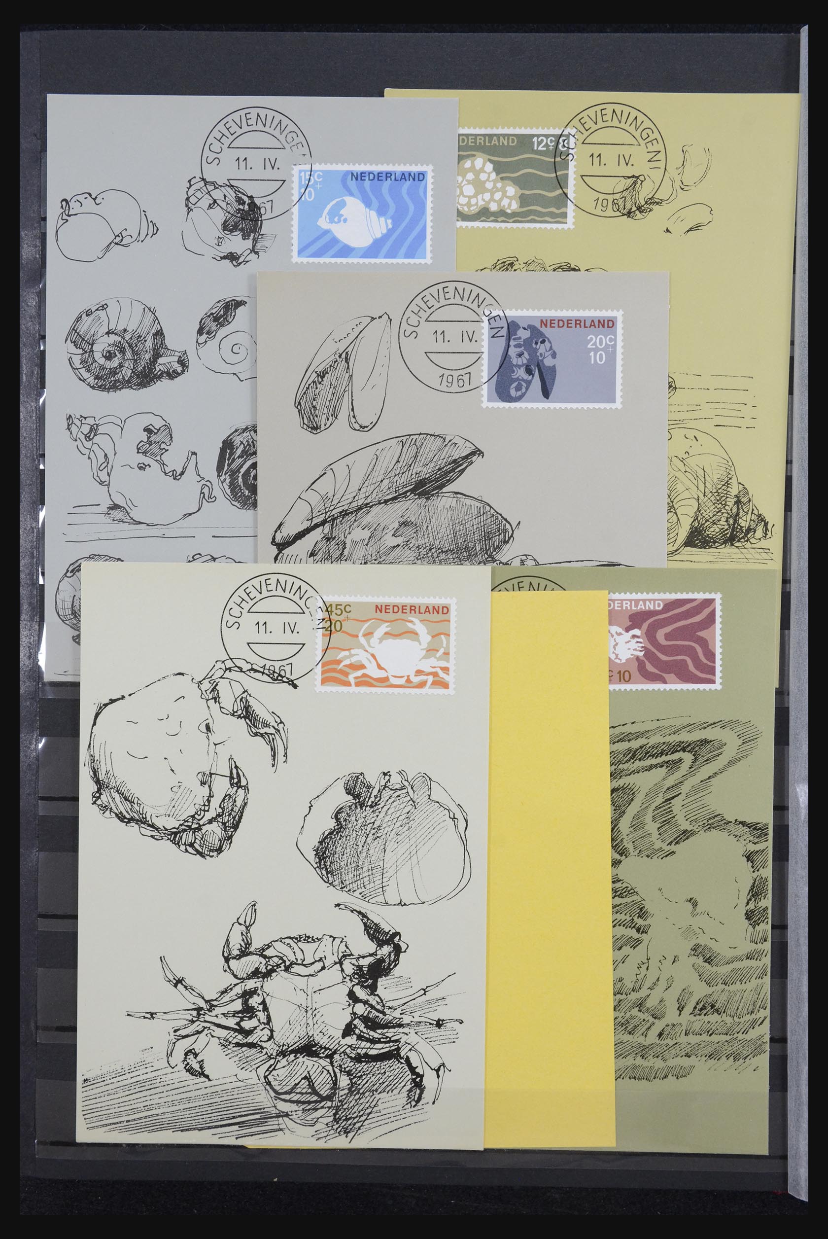 32343 012 - 32343 Netherlands maximum cards 1964-1967.