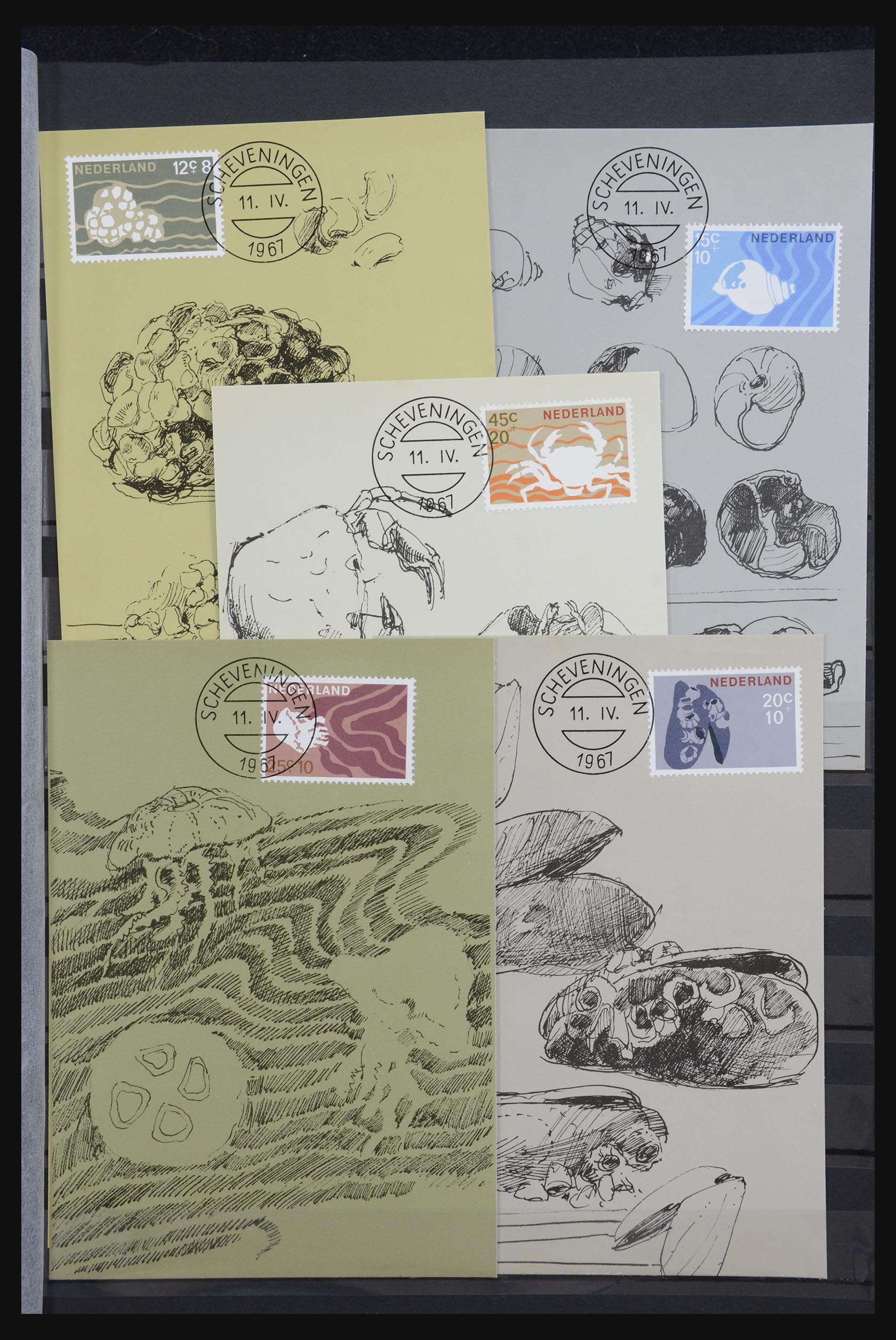 32343 013 - 32343 Netherlands maximum cards 1964-1967.