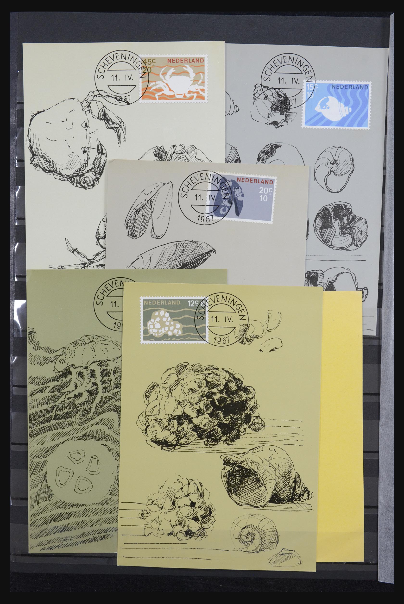 32343 014 - 32343 Netherlands maximum cards 1964-1967.