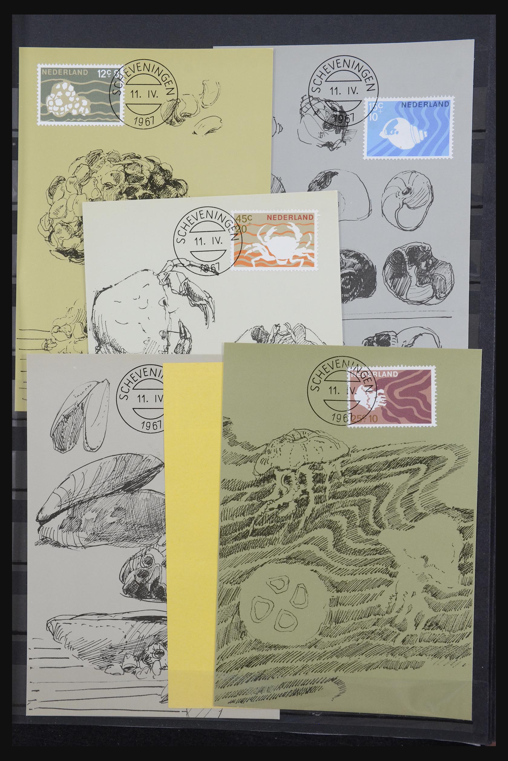 32343 015 - 32343 Netherlands maximum cards 1964-1967.