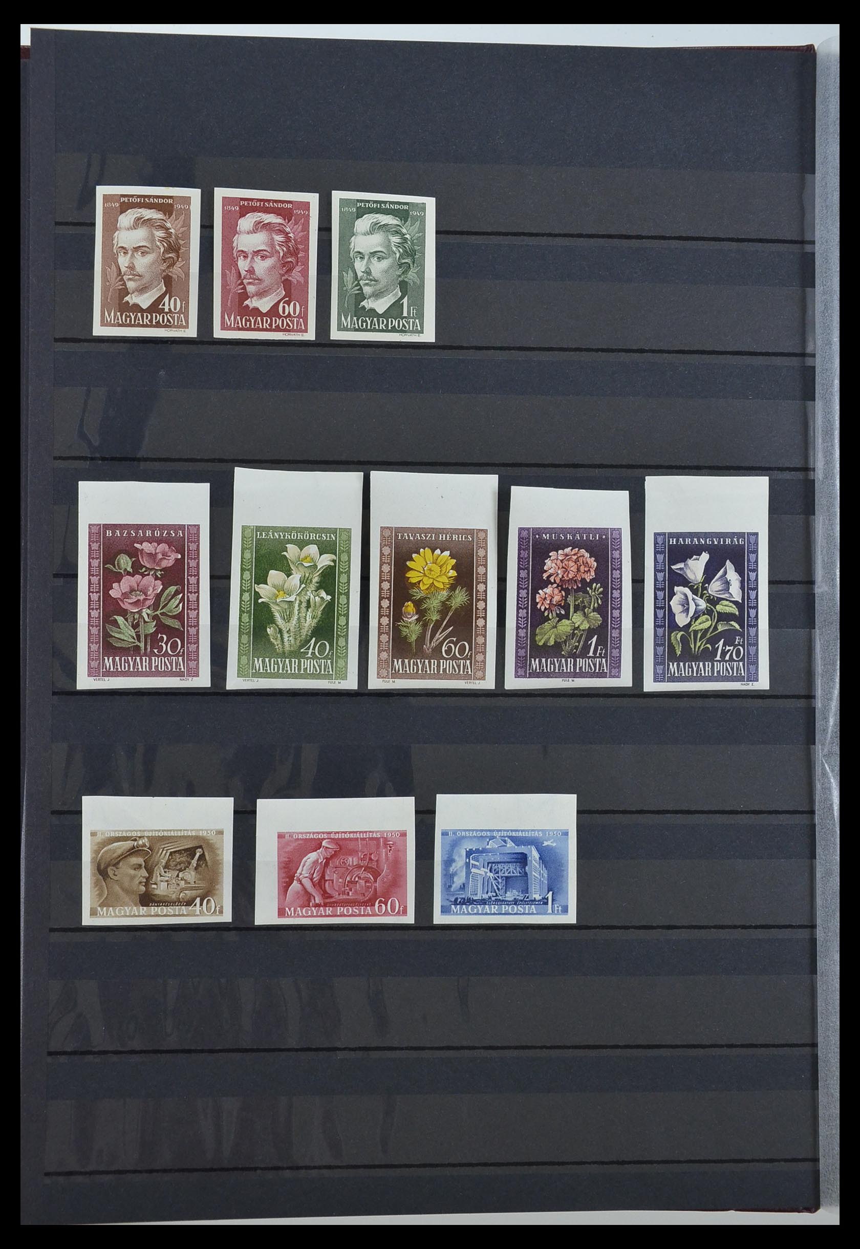 33245 006 - Postzegelverzameling 33245 Hongarije 1913-1973.