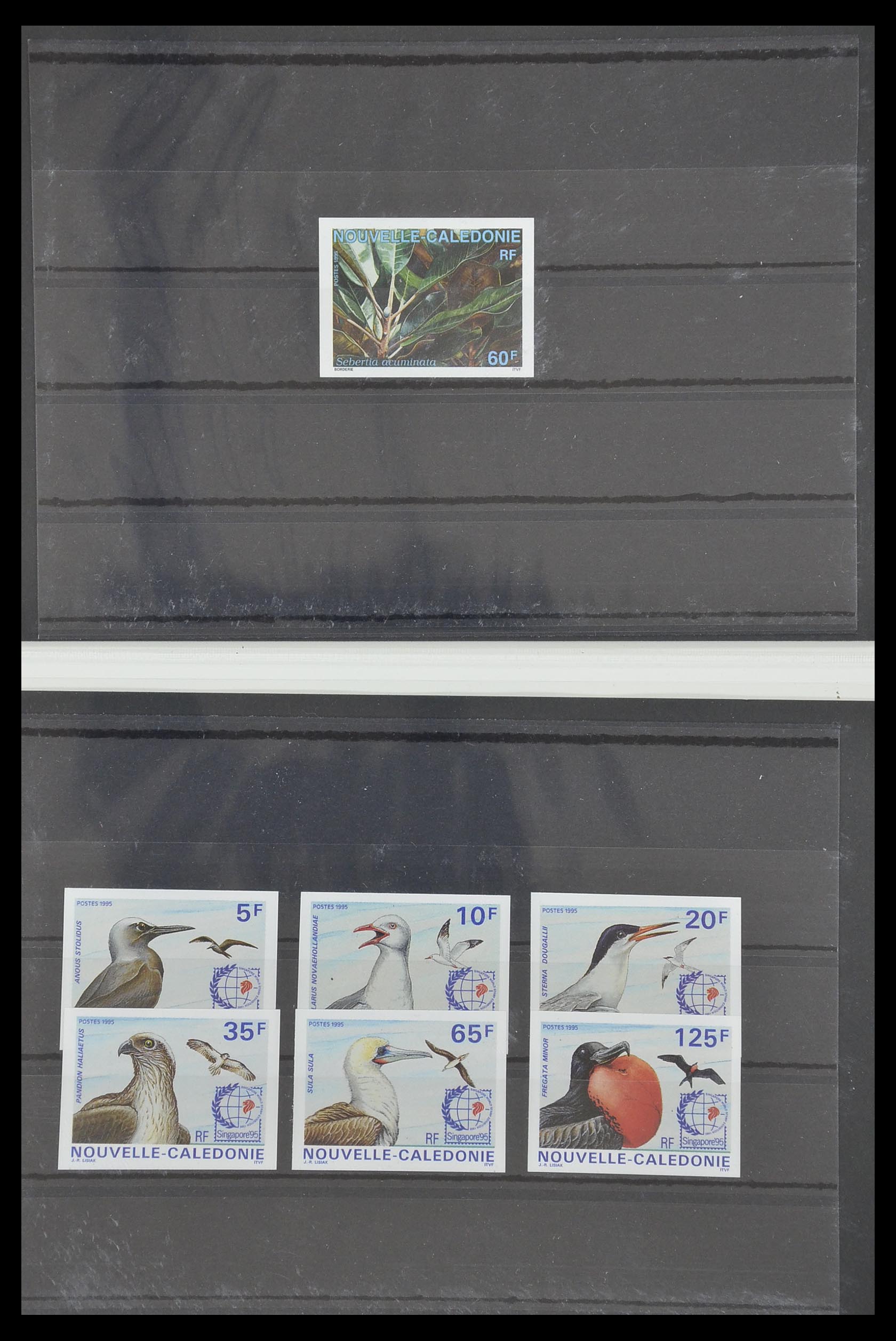 33304 044 - Postzegelverzameling 33304 Nieuw Caledonië ONGETAND 1990-1997.