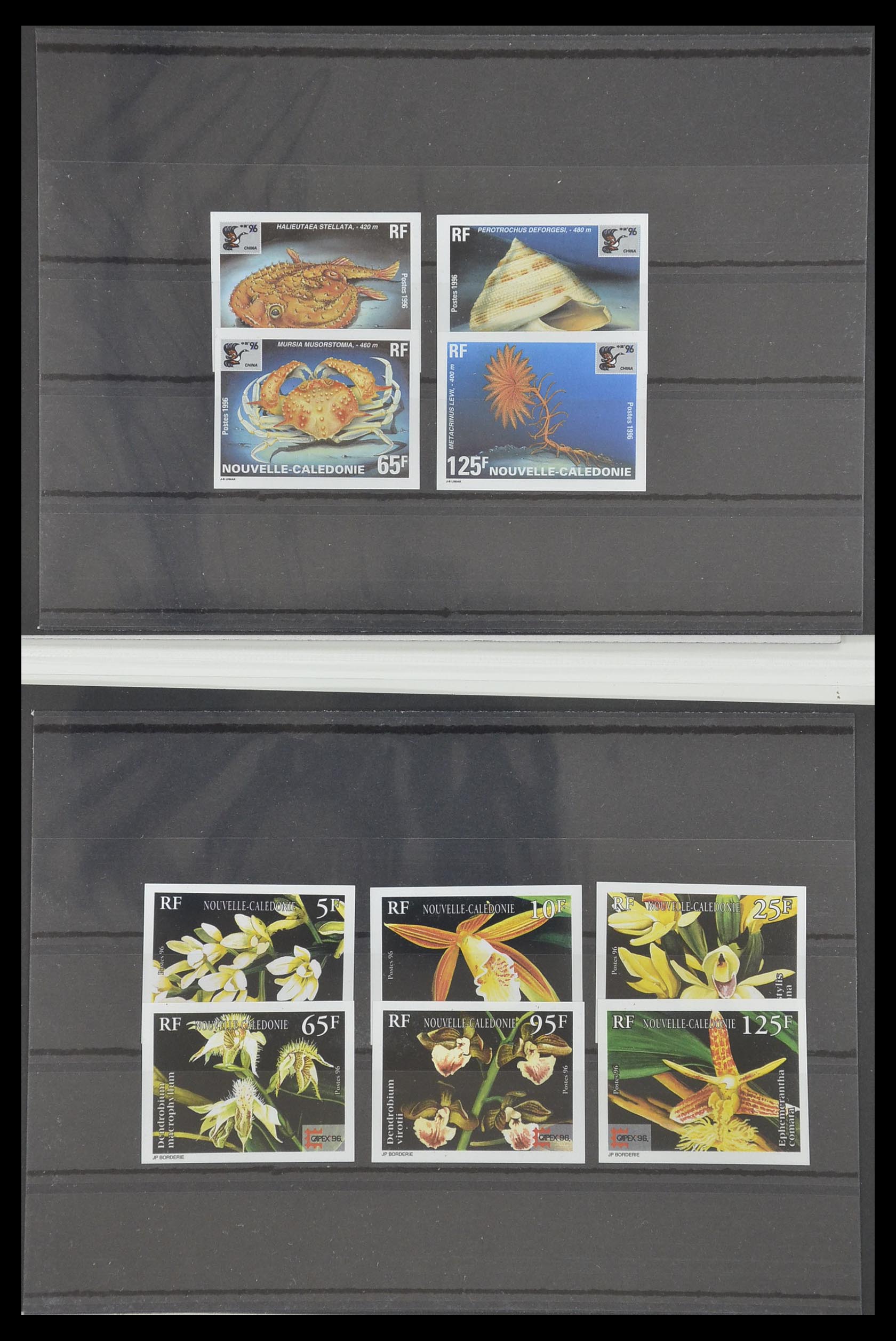 33304 050 - Postzegelverzameling 33304 Nieuw Caledonië ONGETAND 1990-1997.