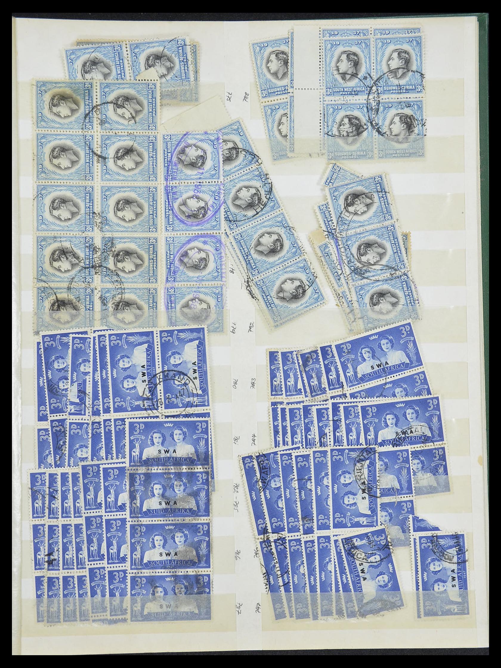 33431 019 - Postzegelverzameling 33431 Zuid West Afrika 1930-1960.
