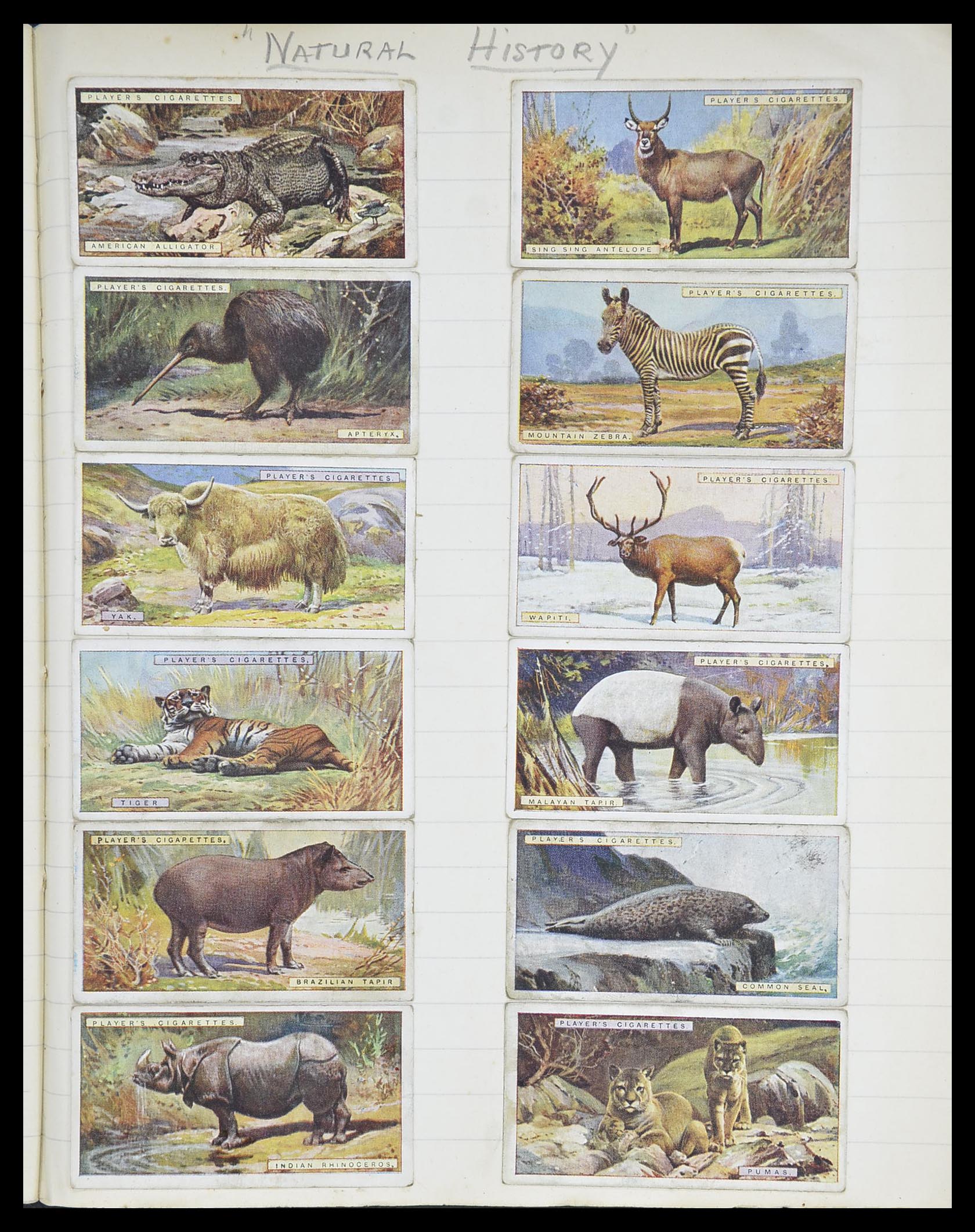 33444 055 - Postzegelverzameling 33444 Engeland sigarettenkaarten.