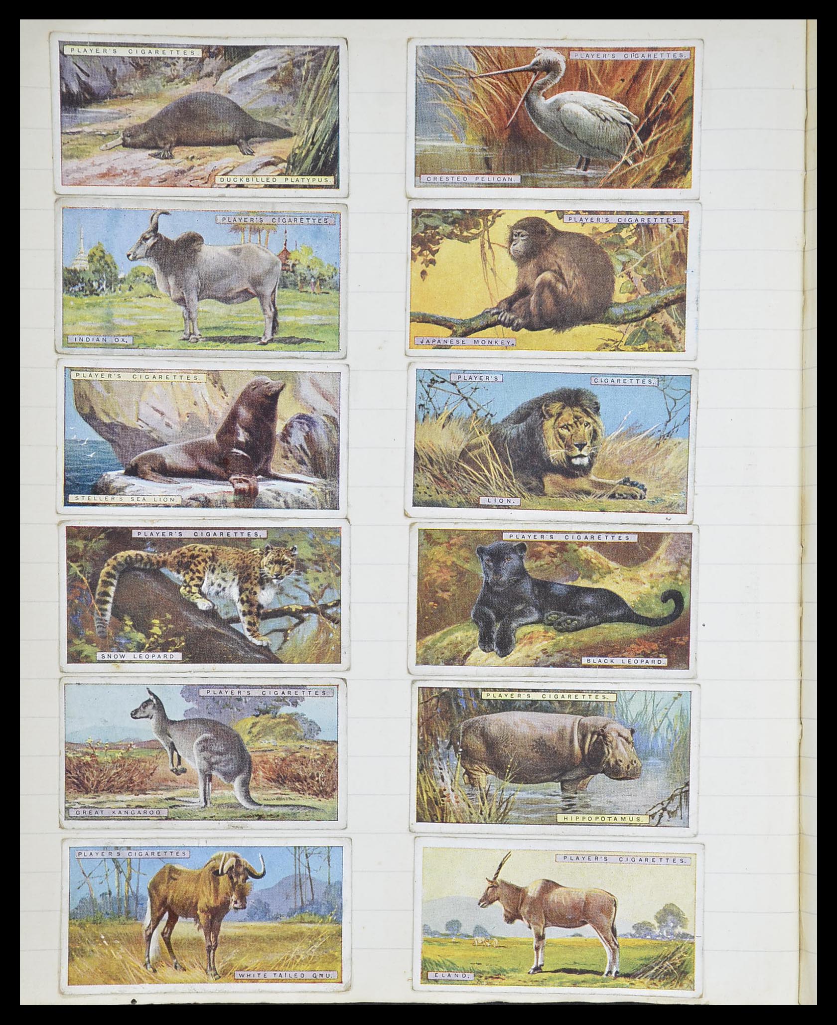 33444 056 - Postzegelverzameling 33444 Engeland sigarettenkaarten.