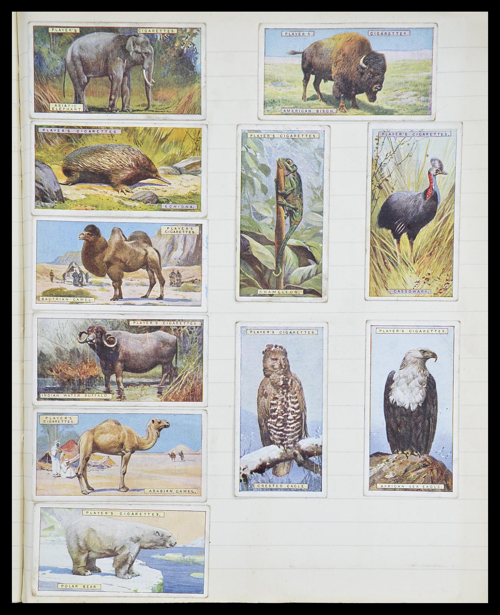 33444 057 - Postzegelverzameling 33444 Engeland sigarettenkaarten.