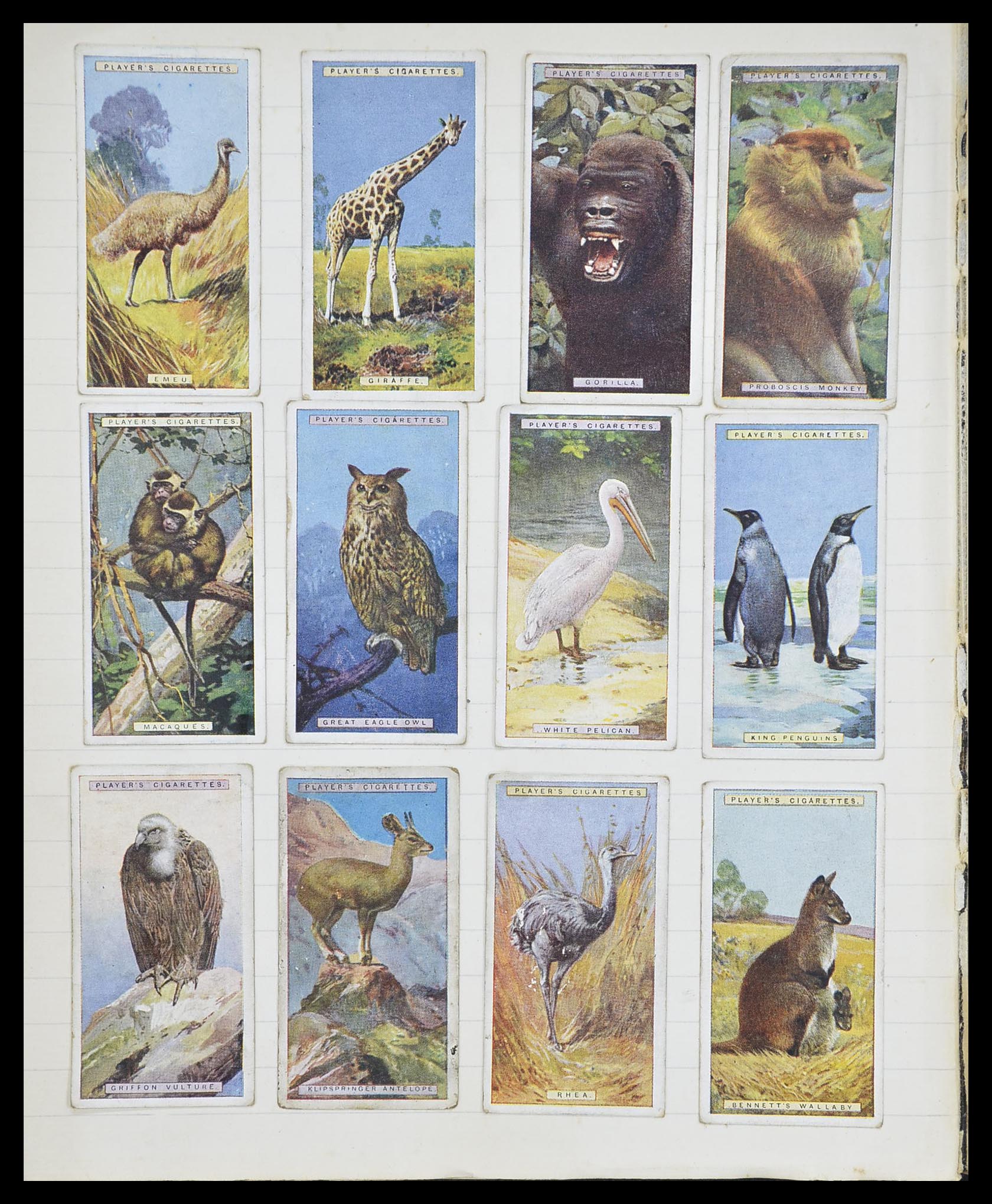 33444 058 - Postzegelverzameling 33444 Engeland sigarettenkaarten.