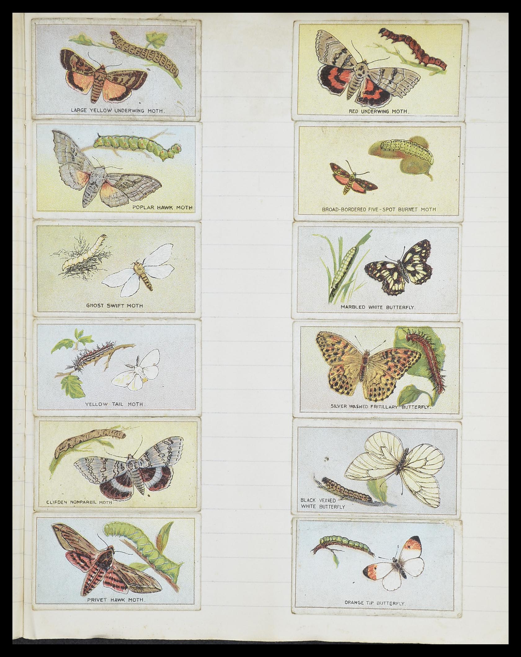 33444 063 - Stamp collection 33444 Great Britain cigarette cards.