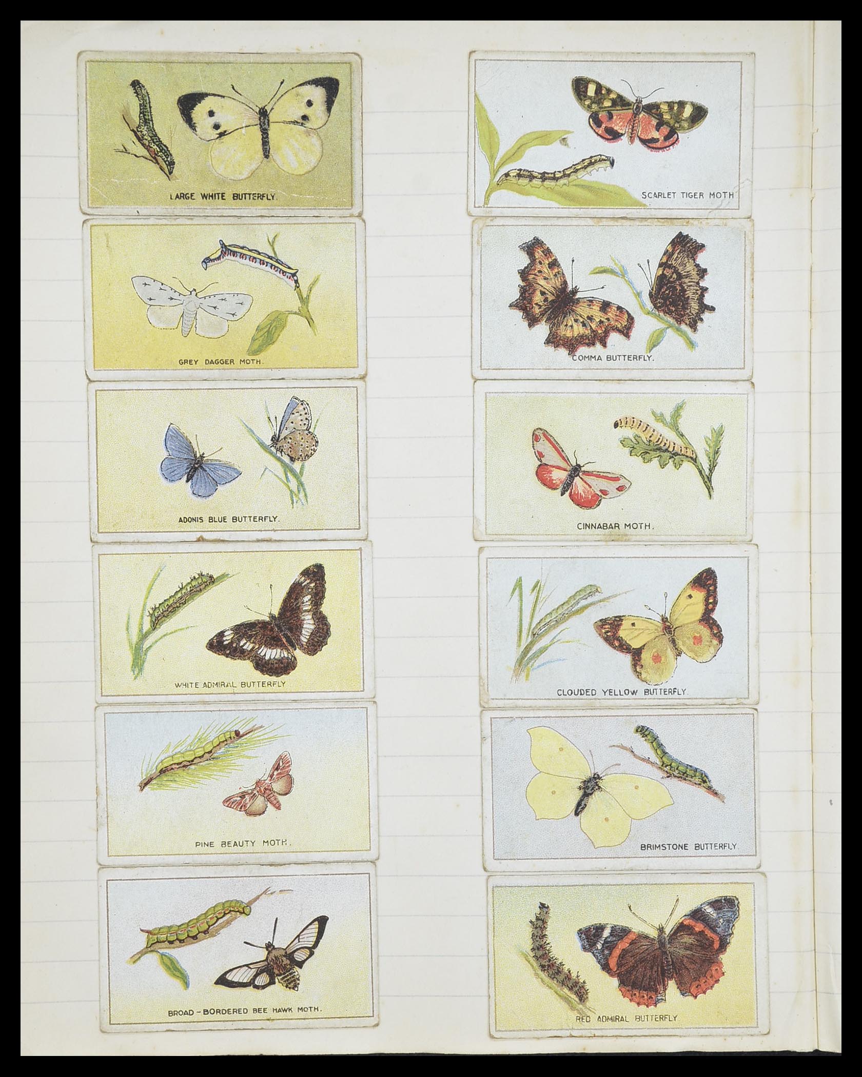 33444 064 - Postzegelverzameling 33444 Engeland sigarettenkaarten.