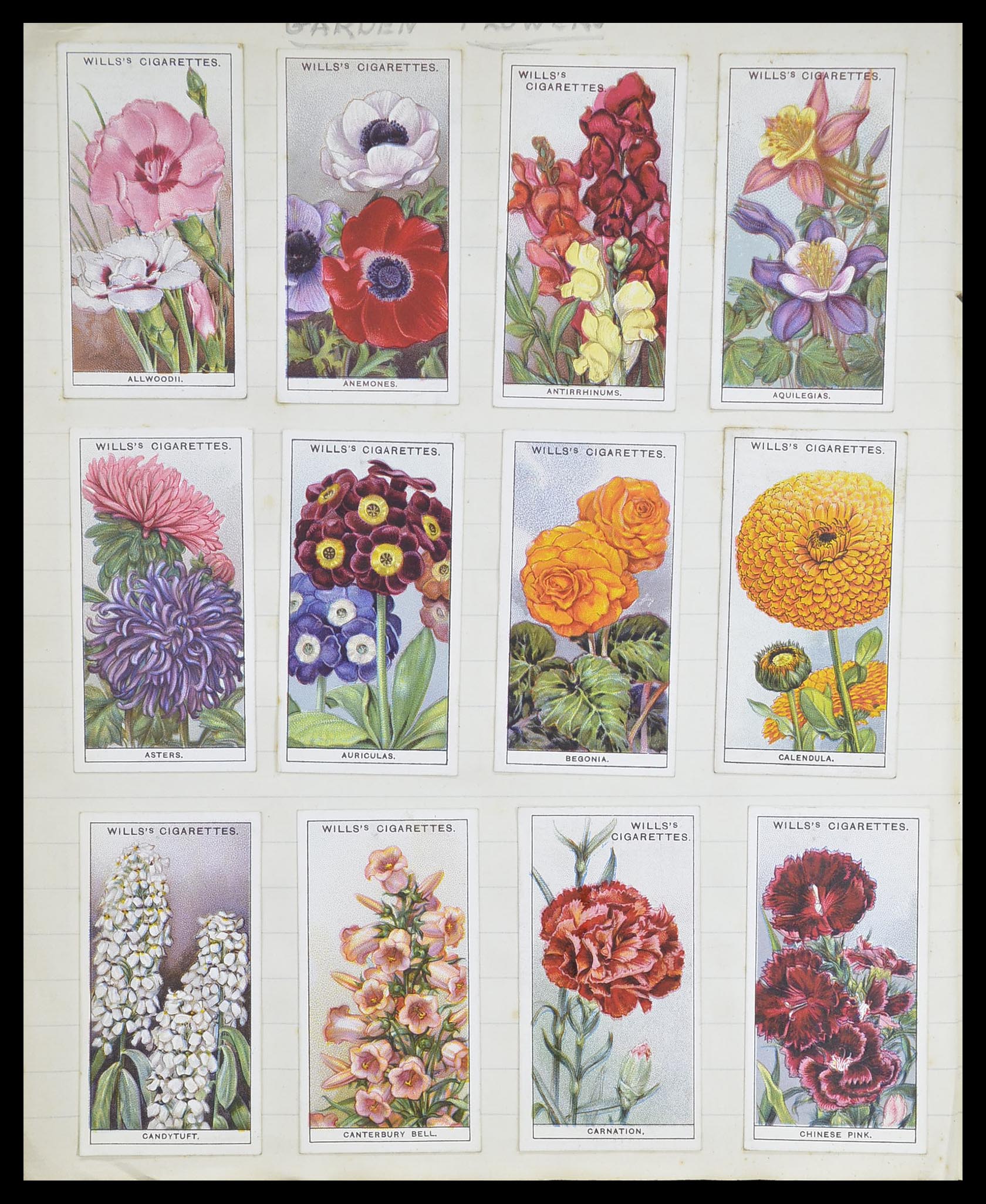 33444 074 - Postzegelverzameling 33444 Engeland sigarettenkaarten.