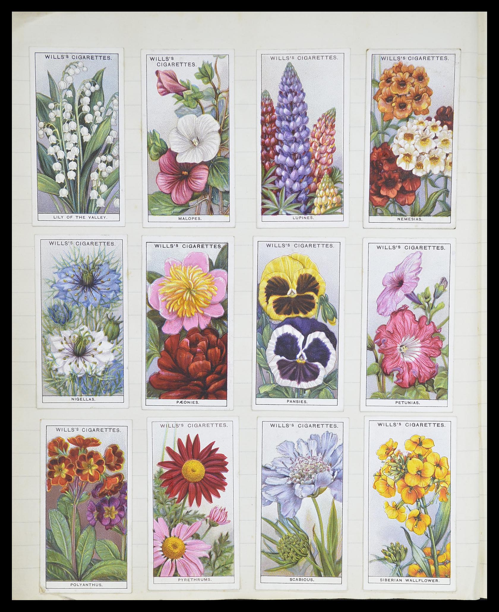 33444 076 - Postzegelverzameling 33444 Engeland sigarettenkaarten.