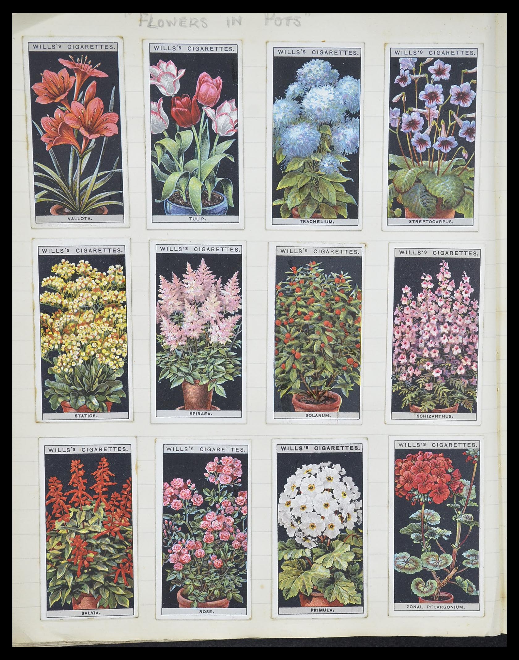 33444 078 - Stamp collection 33444 Great Britain cigarette cards.