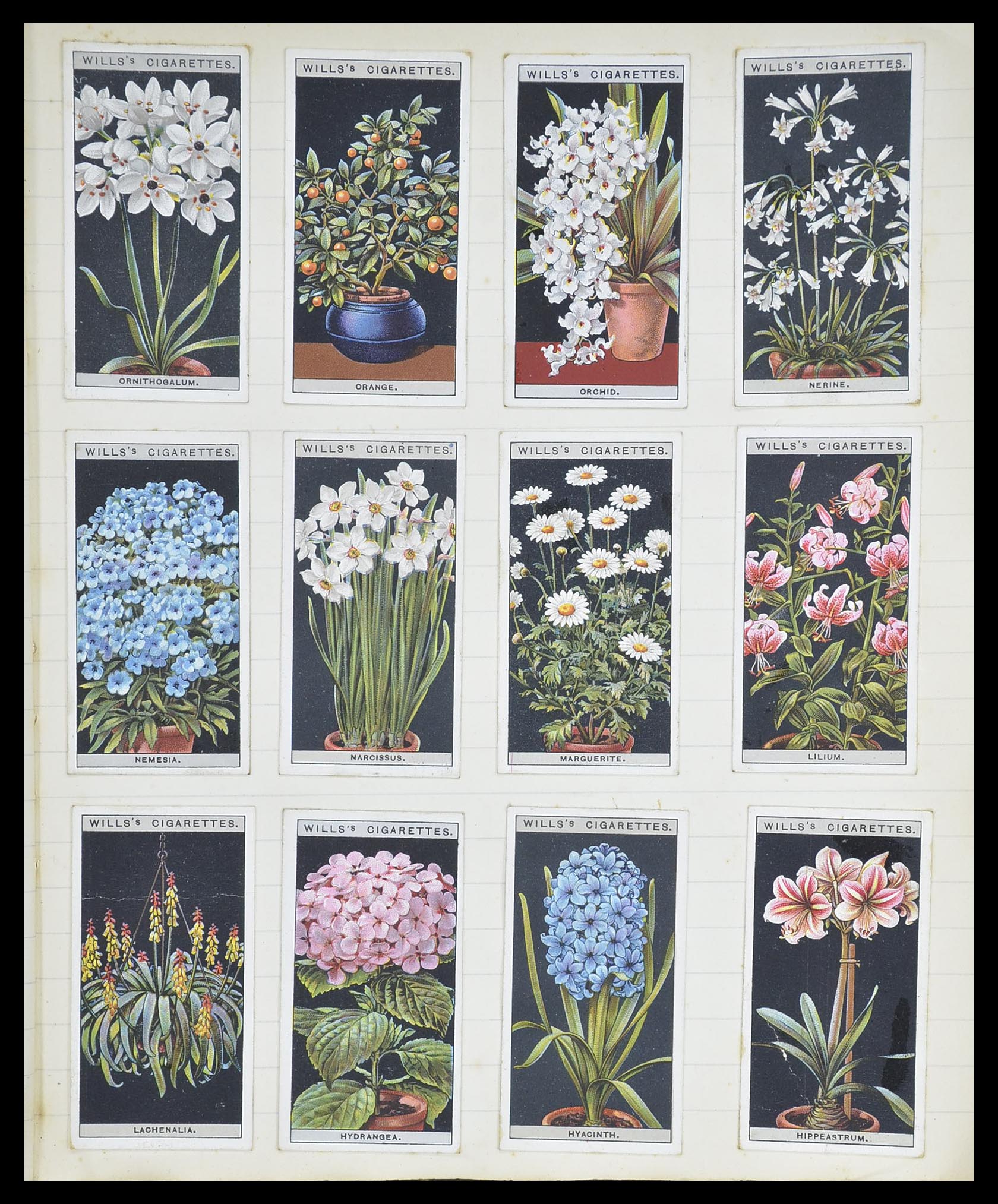 33444 079 - Postzegelverzameling 33444 Engeland sigarettenkaarten.