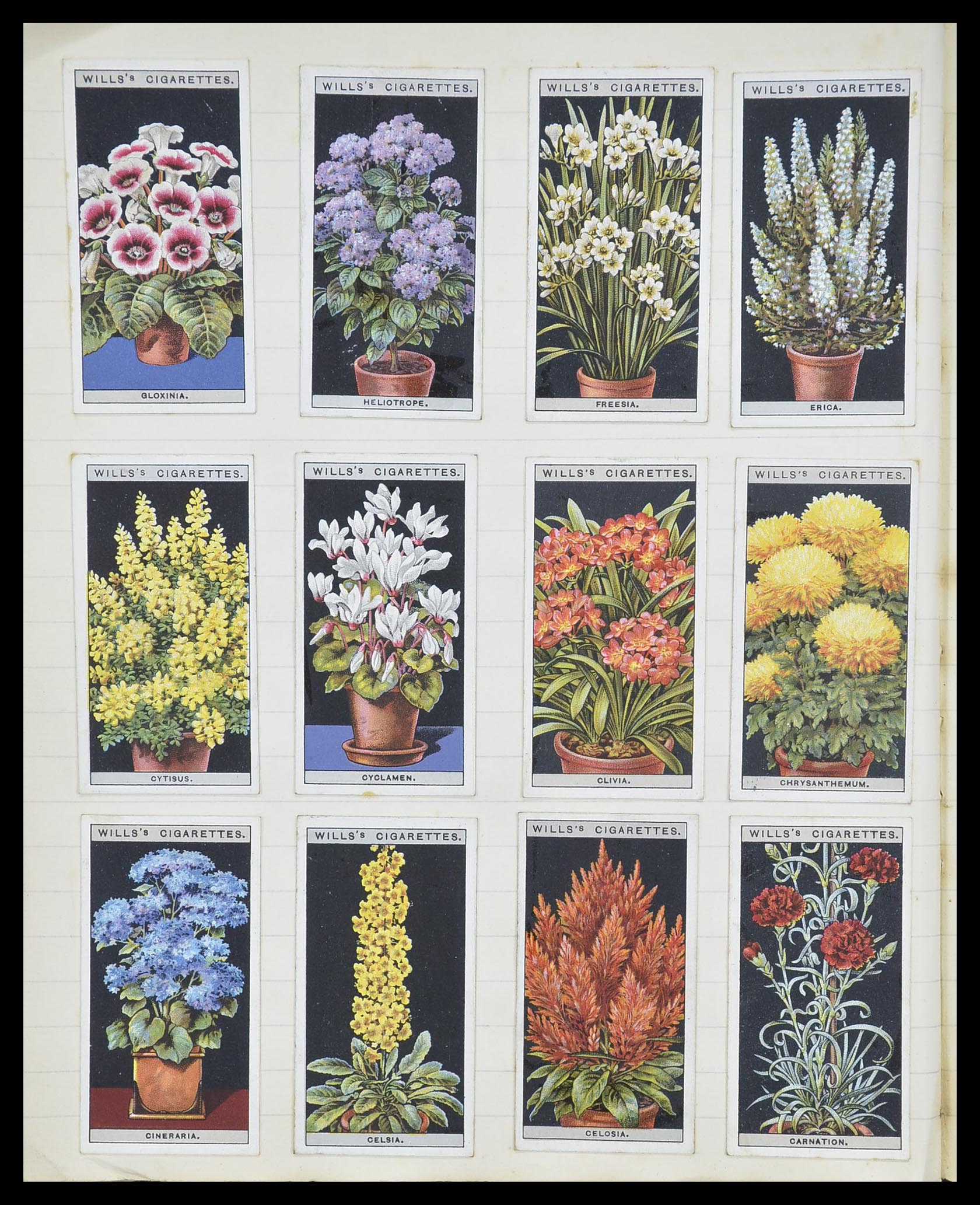 33444 080 - Stamp collection 33444 Great Britain cigarette cards.