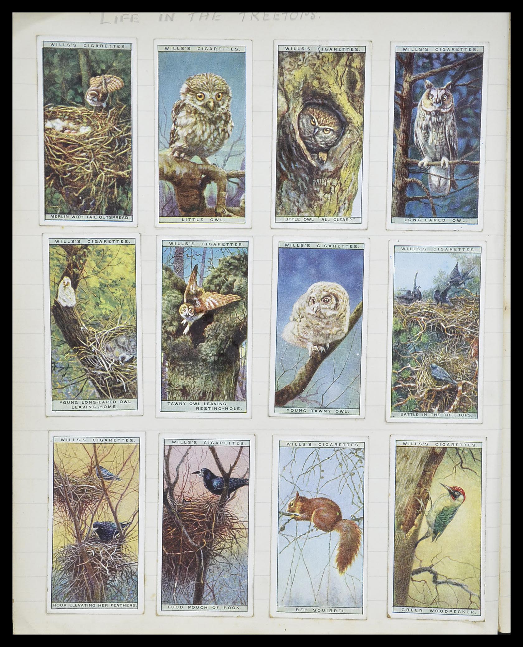 33444 082 - Postzegelverzameling 33444 Engeland sigarettenkaarten.