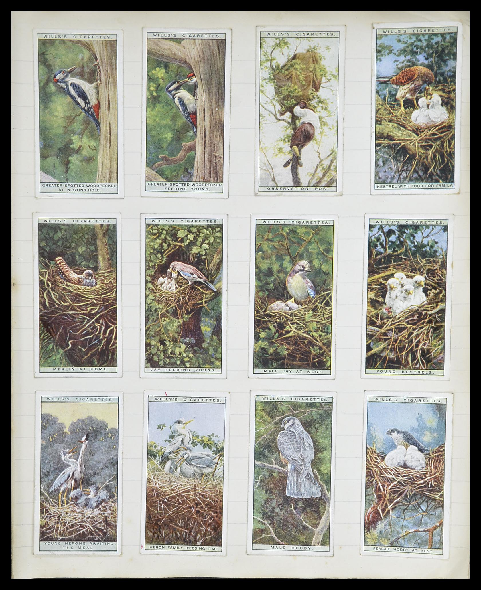33444 083 - Postzegelverzameling 33444 Engeland sigarettenkaarten.