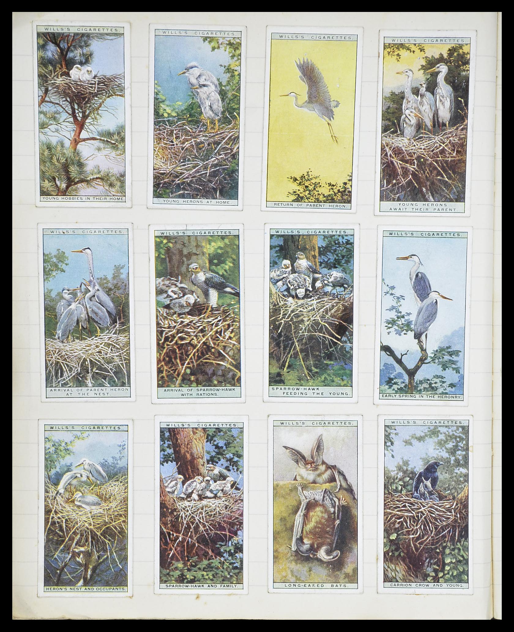 33444 084 - Postzegelverzameling 33444 Engeland sigarettenkaarten.
