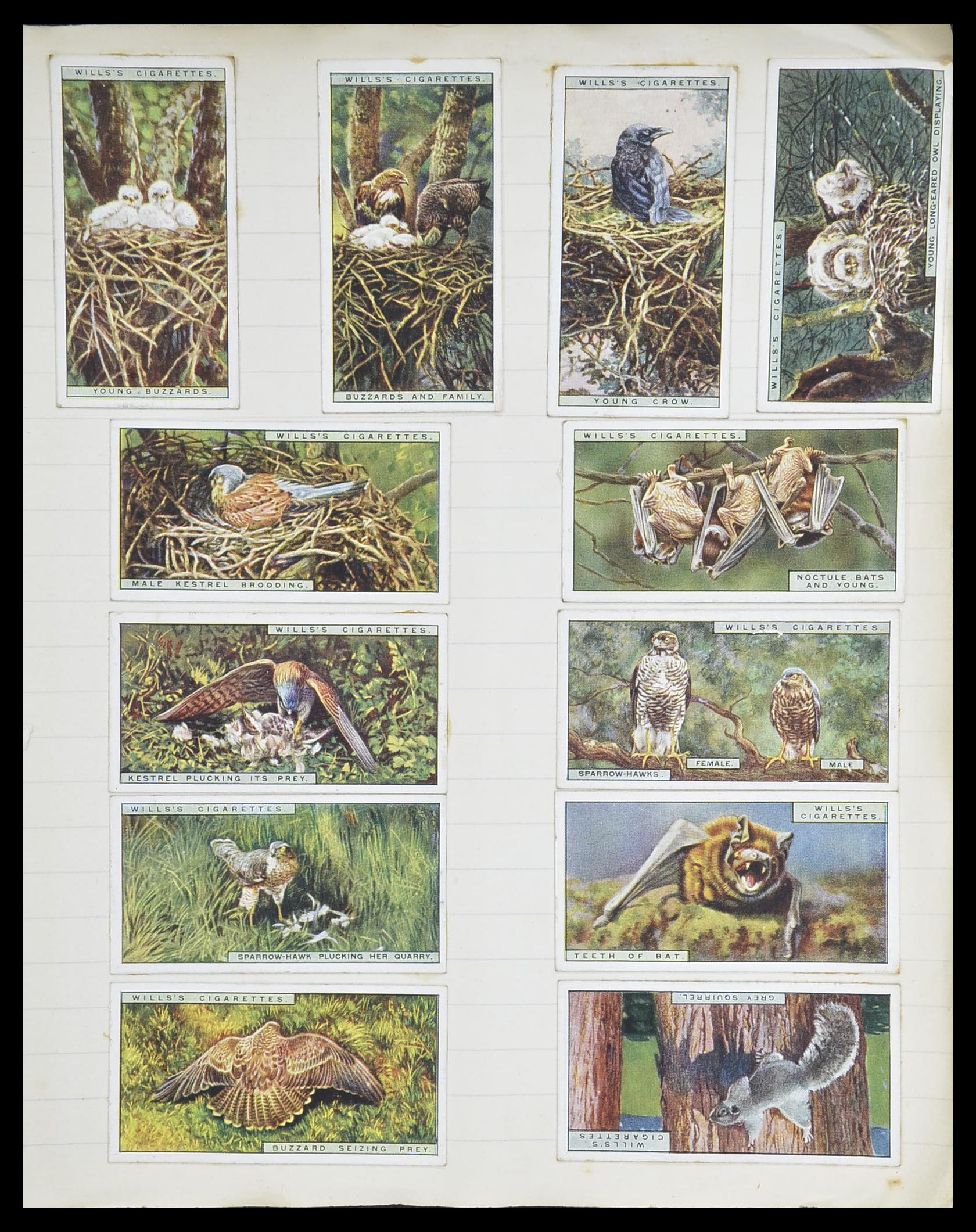 33444 085 - Postzegelverzameling 33444 Engeland sigarettenkaarten.