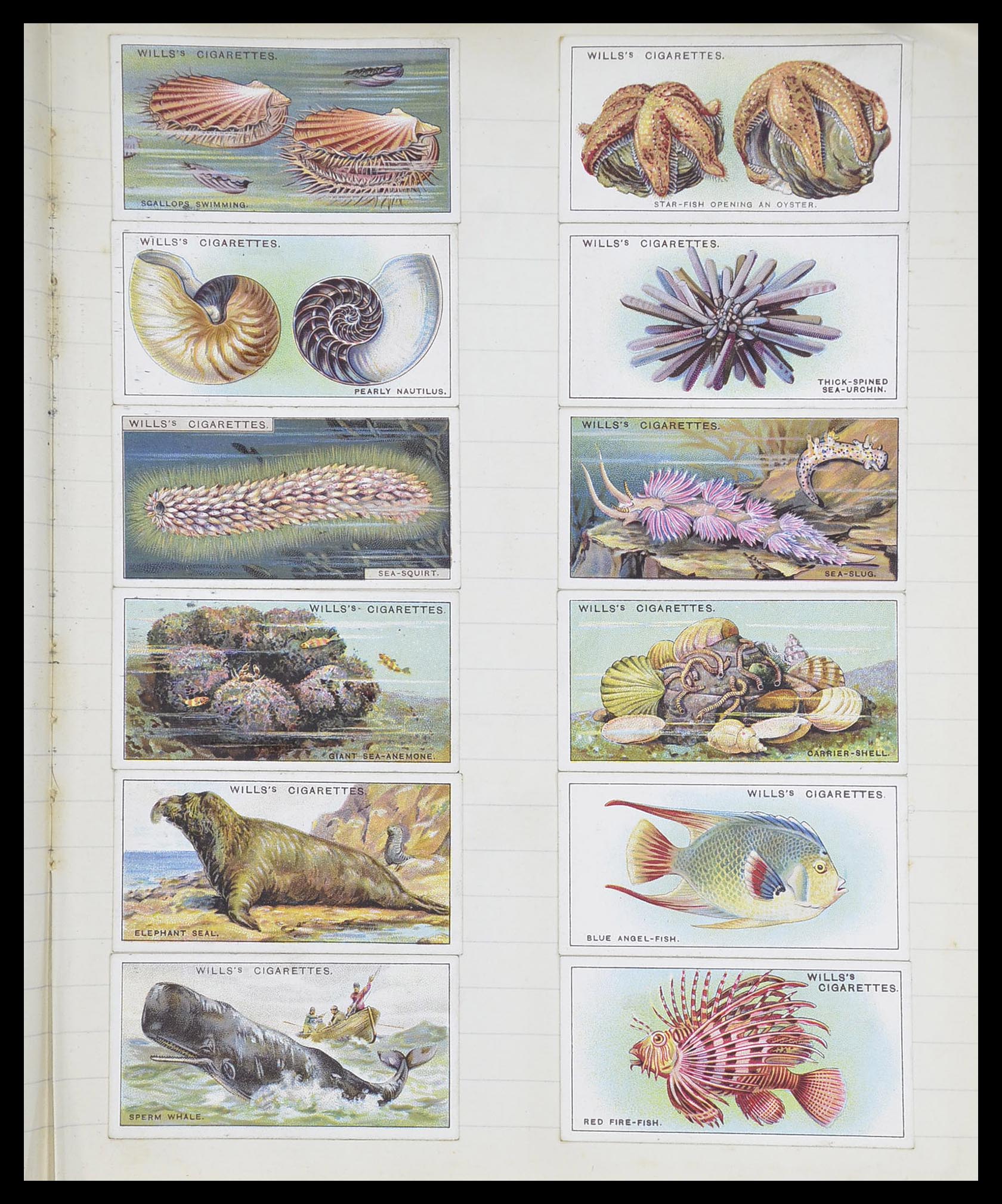 33444 093 - Stamp collection 33444 Great Britain cigarette cards.