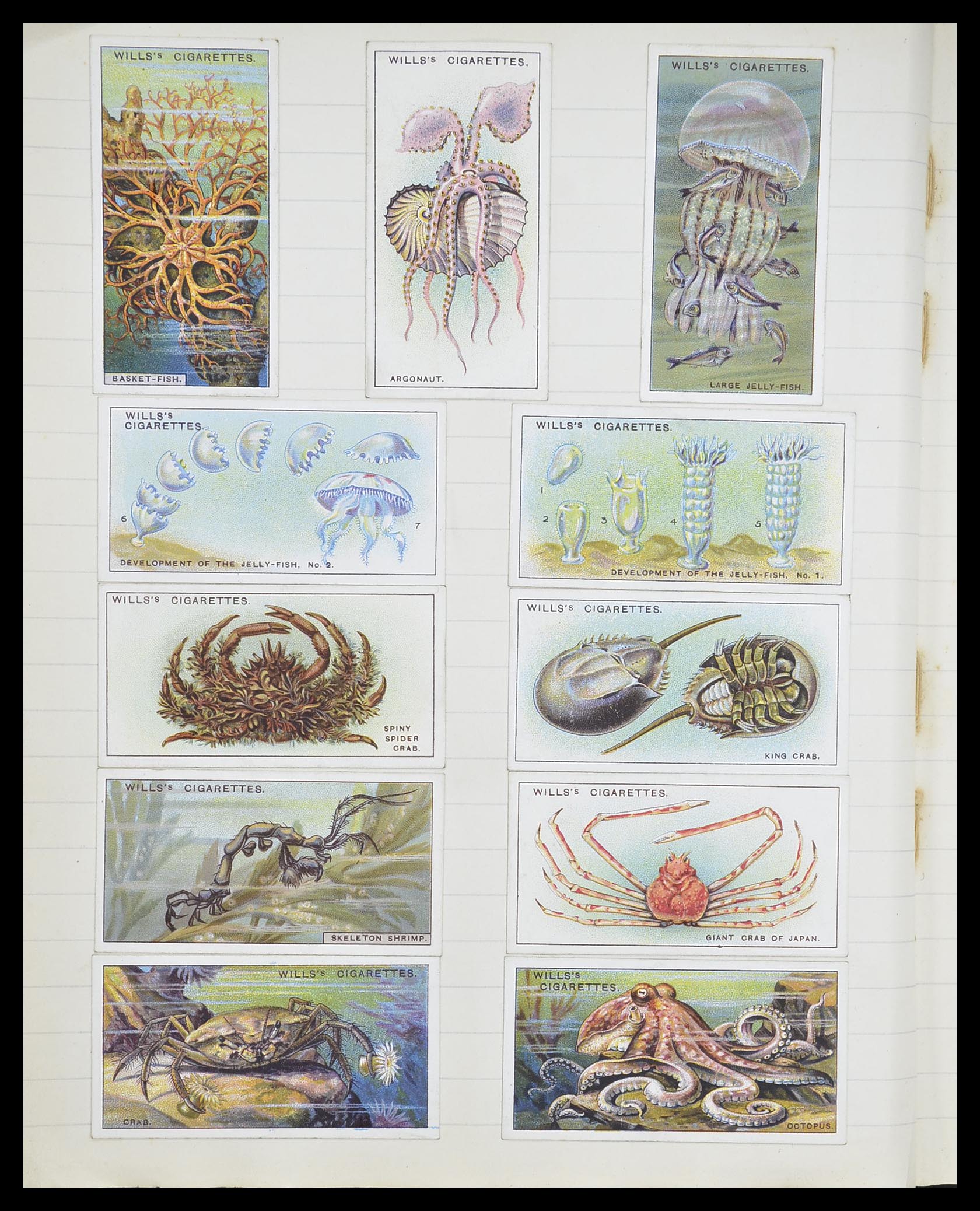 33444 094 - Postzegelverzameling 33444 Engeland sigarettenkaarten.