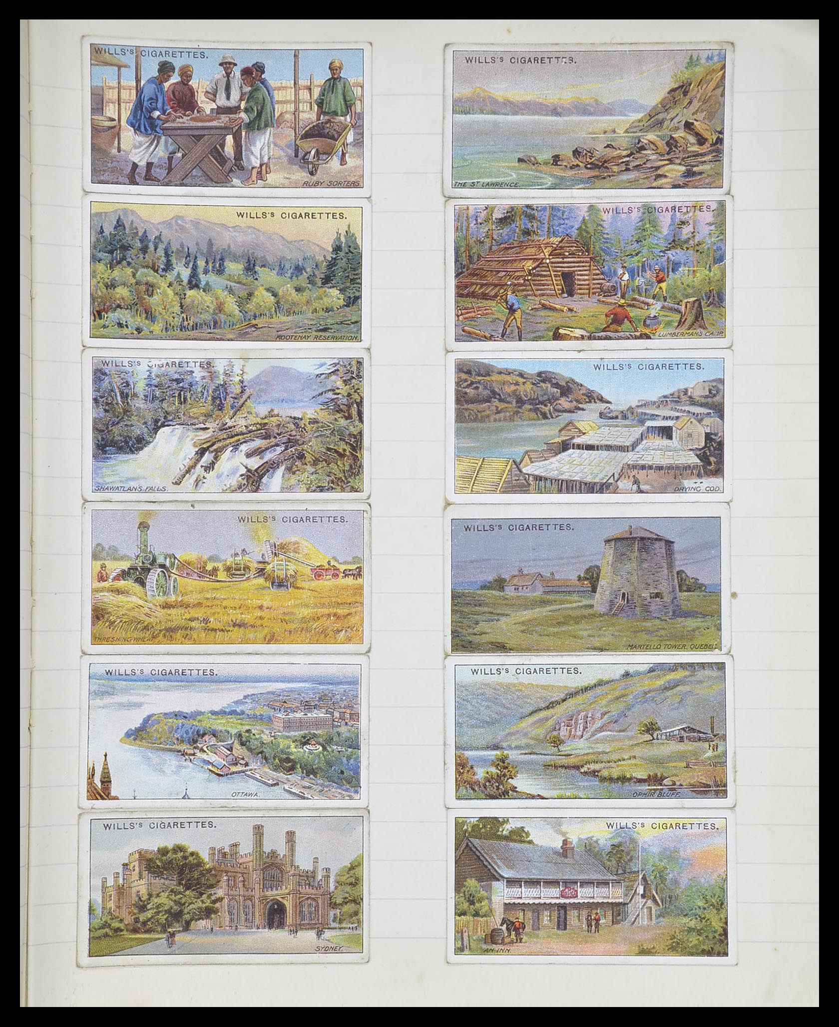 33444 109 - Stamp collection 33444 Great Britain cigarette cards.