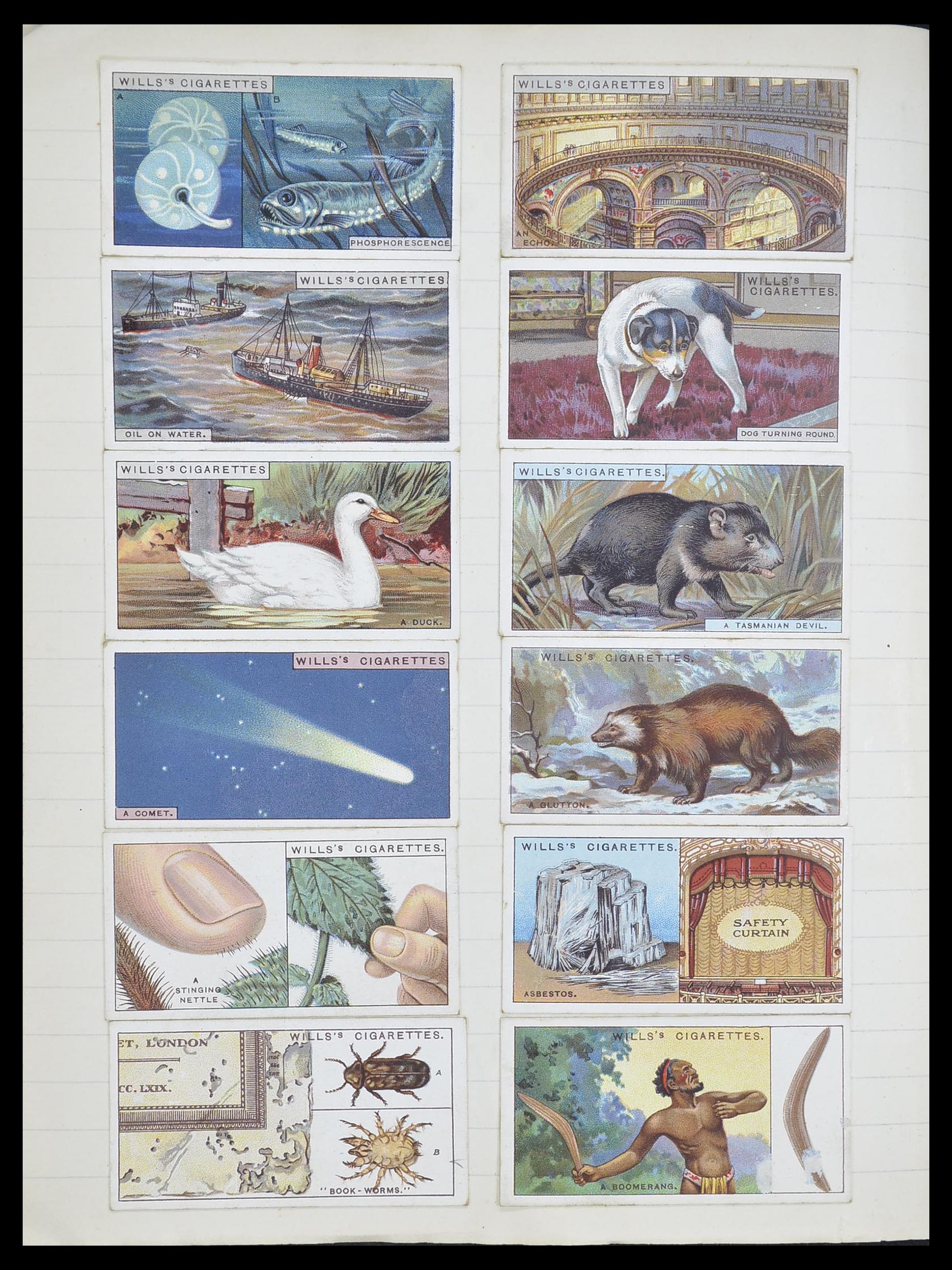 33444 121 - Stamp collection 33444 Great Britain cigarette cards.