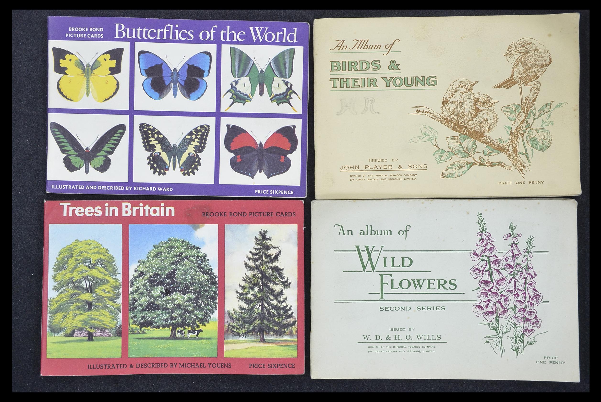 33444 130 - Stamp collection 33444 Great Britain cigarette cards.