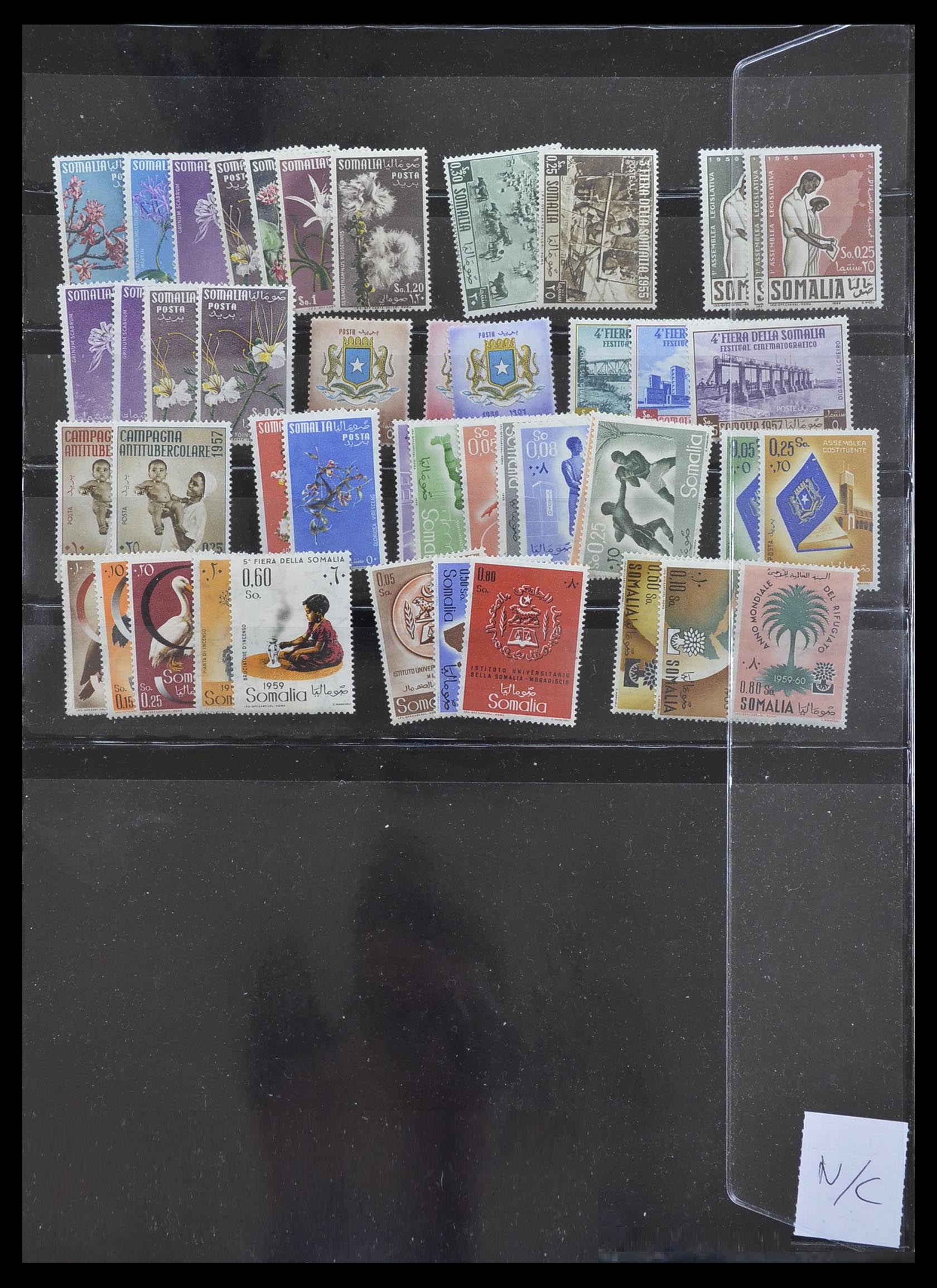 33445 046 - Postzegelverzameling 33445 Italiaanse koloniën 1893-1959.
