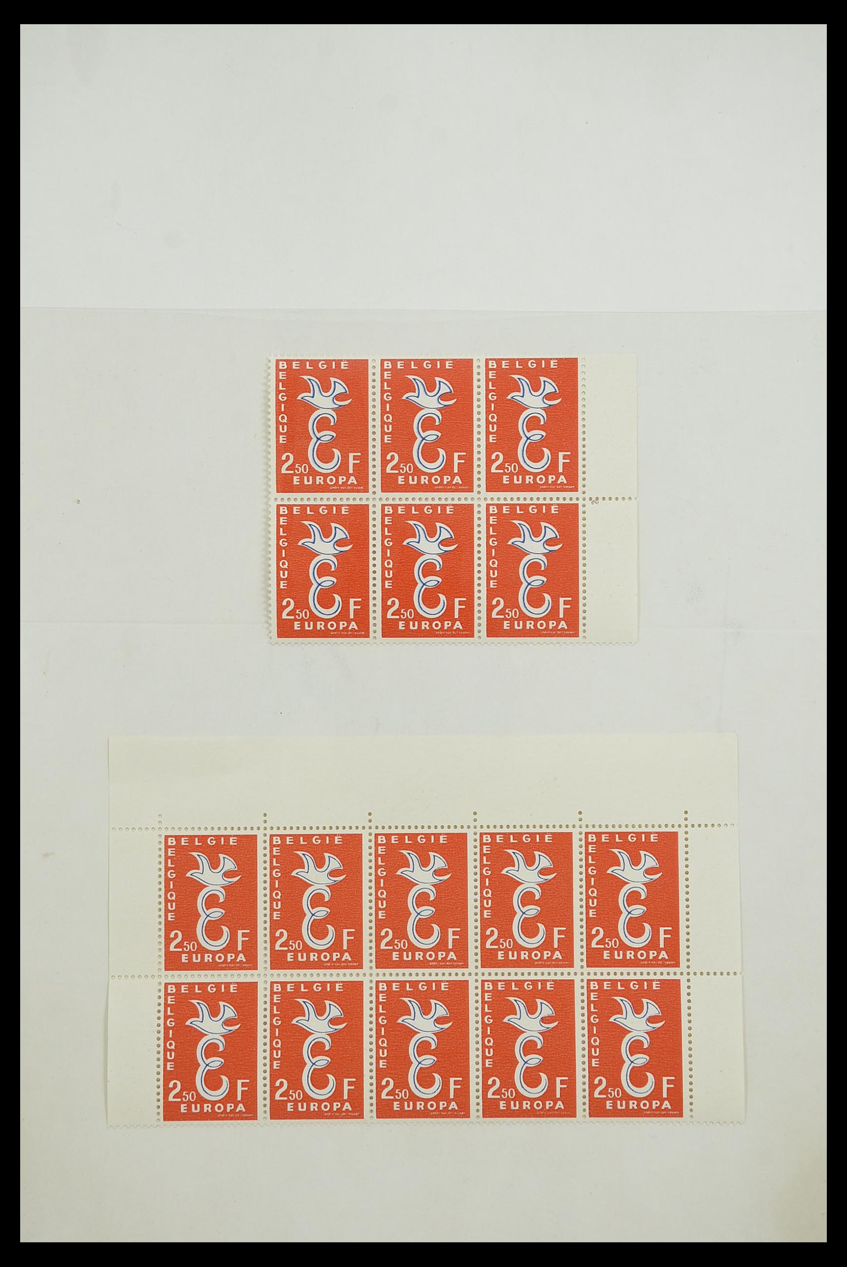 33446 006 - Postzegelverzameling 33446 Europa CEPT 1956-1961 engros.