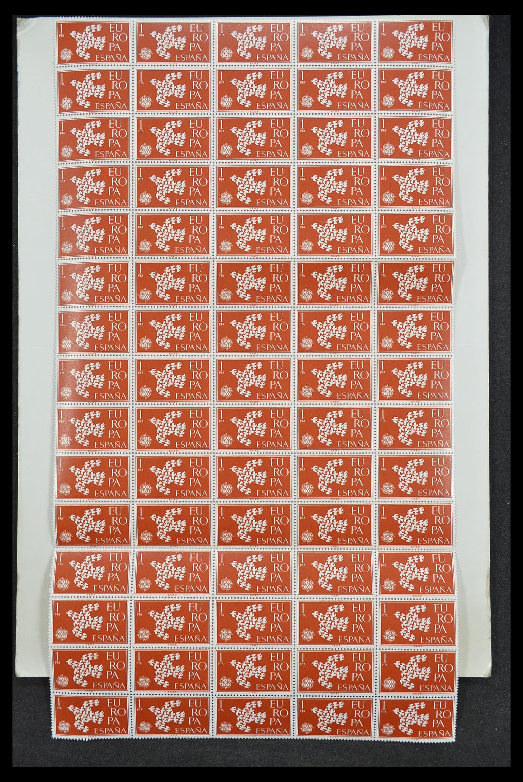 33446 261 - Postzegelverzameling 33446 Europa CEPT 1956-1961 engros.