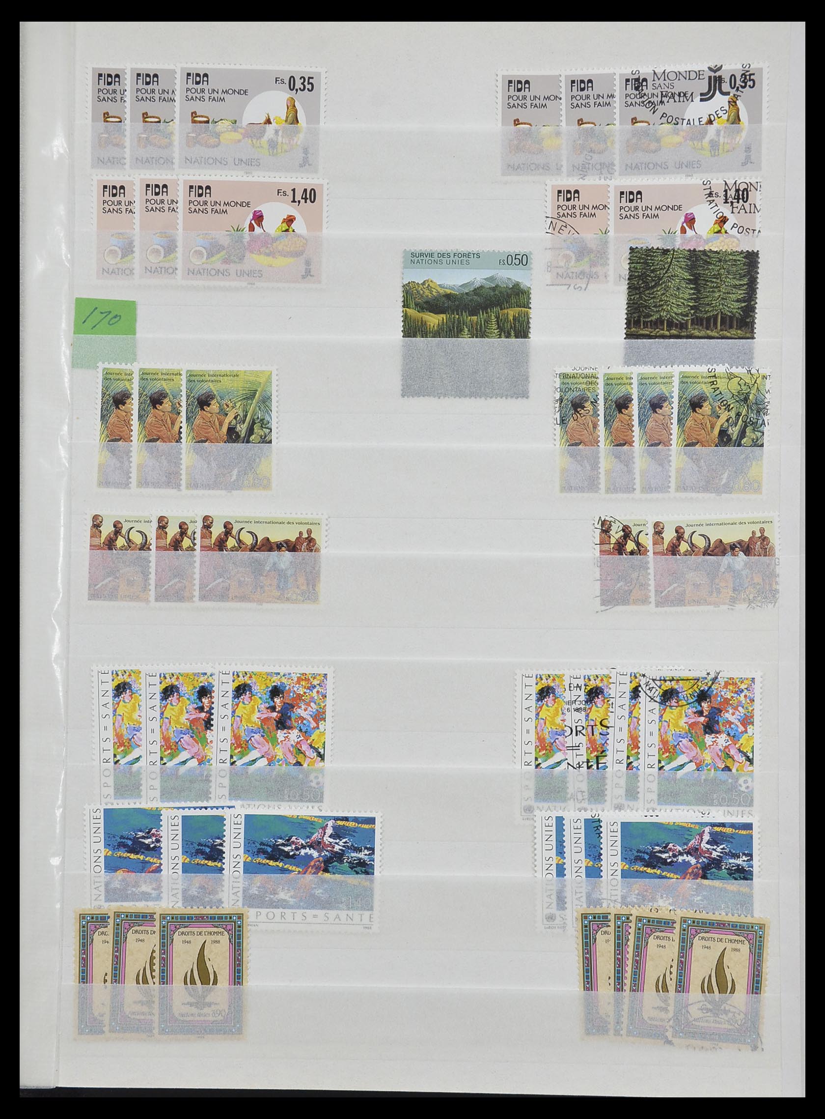 33467 019 - Postzegelverzameling 33467 Verenigde Naties 1969-1999.