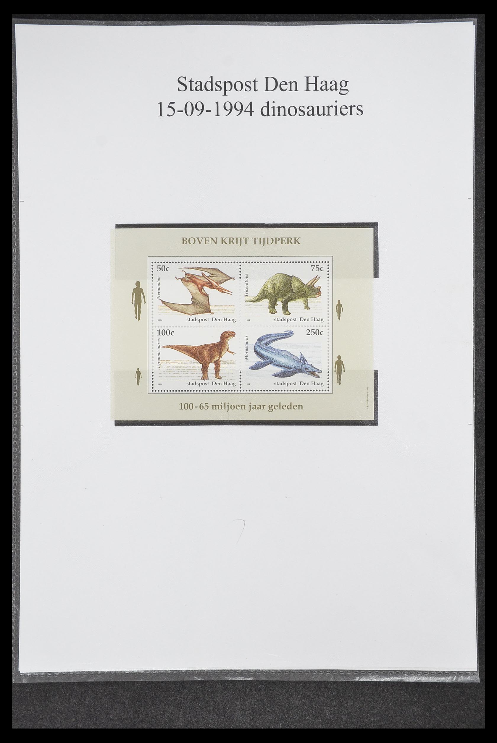 33500 0195 - Postzegelverzameling 33500 Nederland stadspost 1969-2019!!