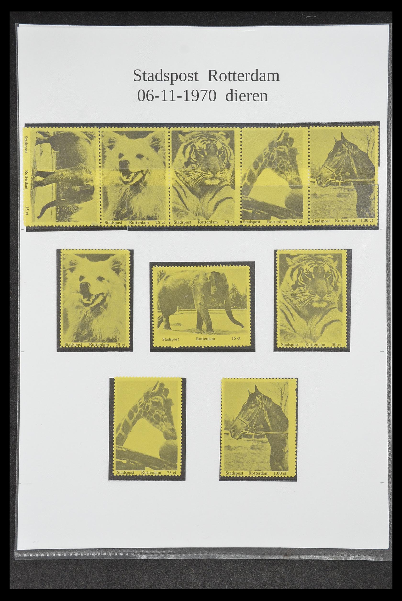 33500 0244 - Postzegelverzameling 33500 Nederland stadspost 1969-2019!!