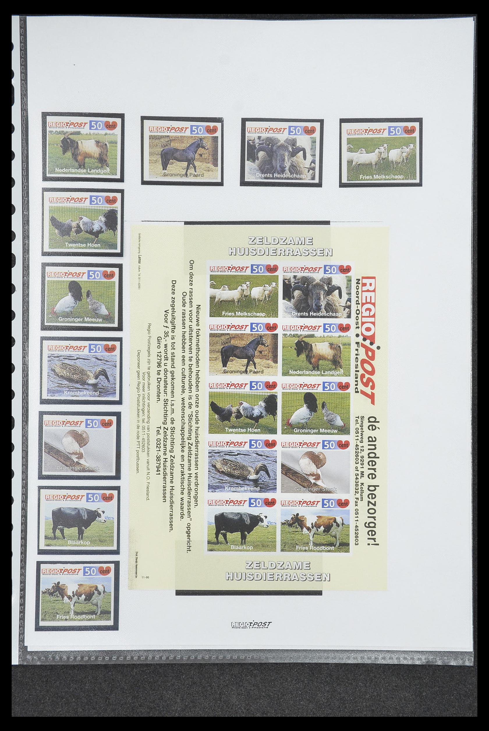 33500 0363 - Postzegelverzameling 33500 Nederland stadspost 1969-2019!!
