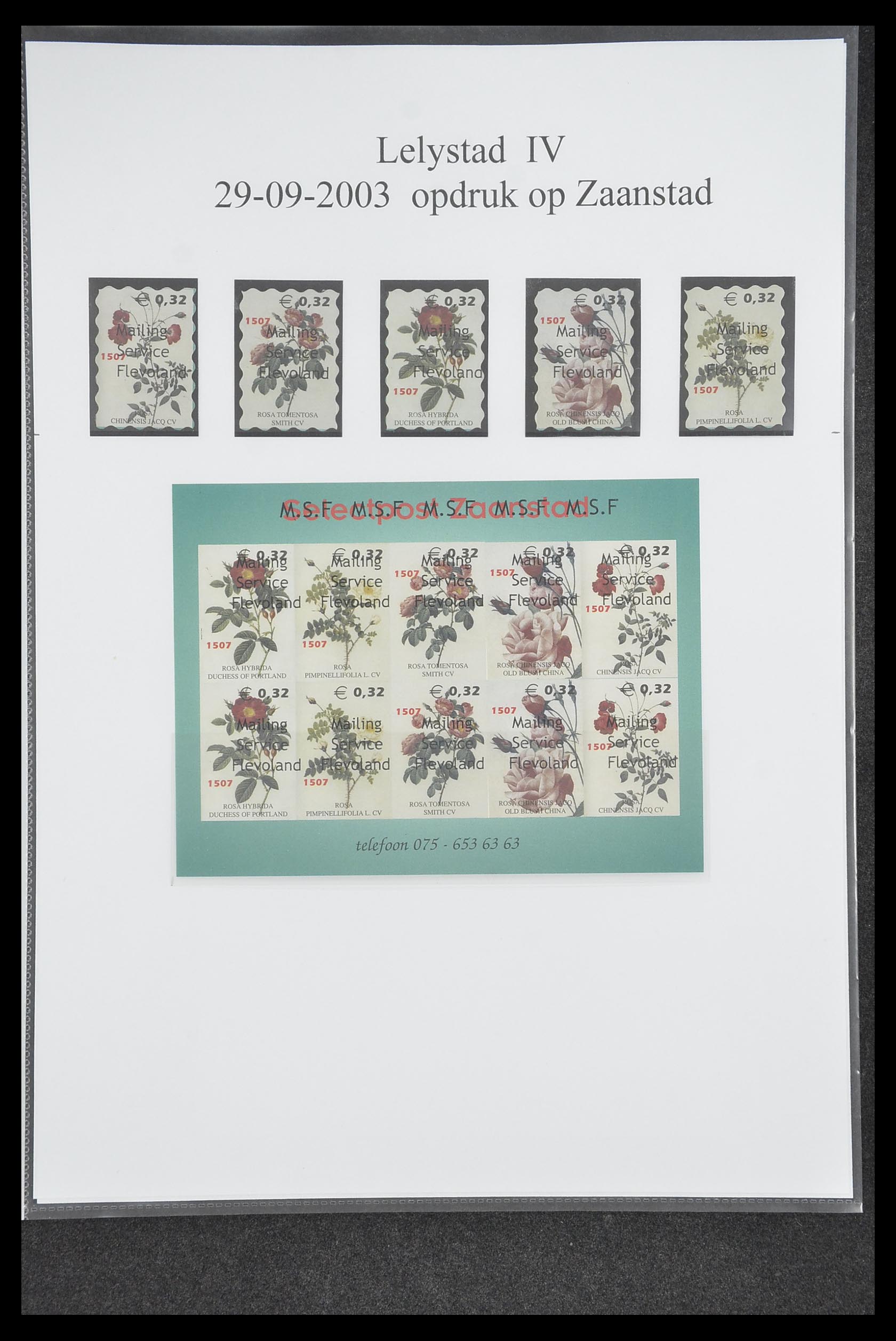 33500 0455 - Postzegelverzameling 33500 Nederland stadspost 1969-2019!!