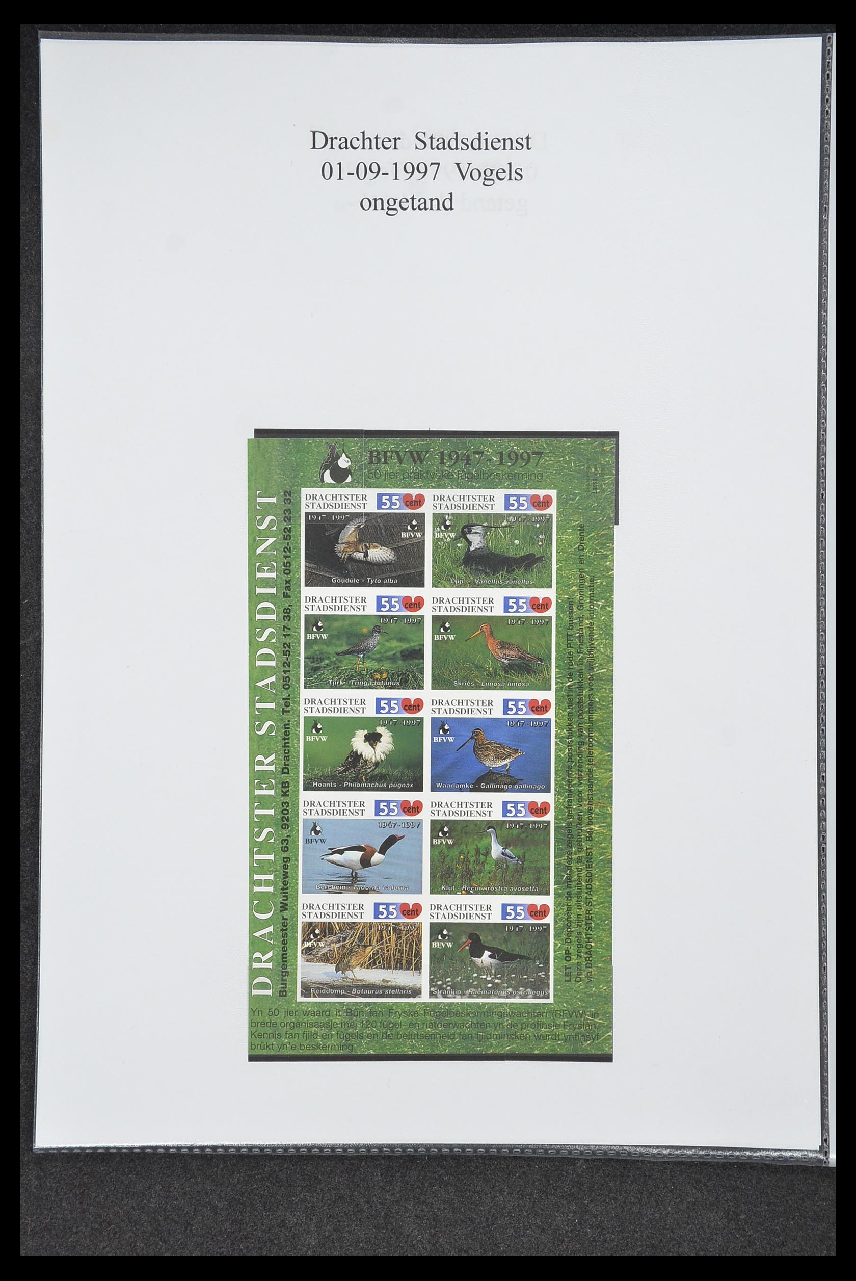 33500 0596 - Postzegelverzameling 33500 Nederland stadspost 1969-2019!!