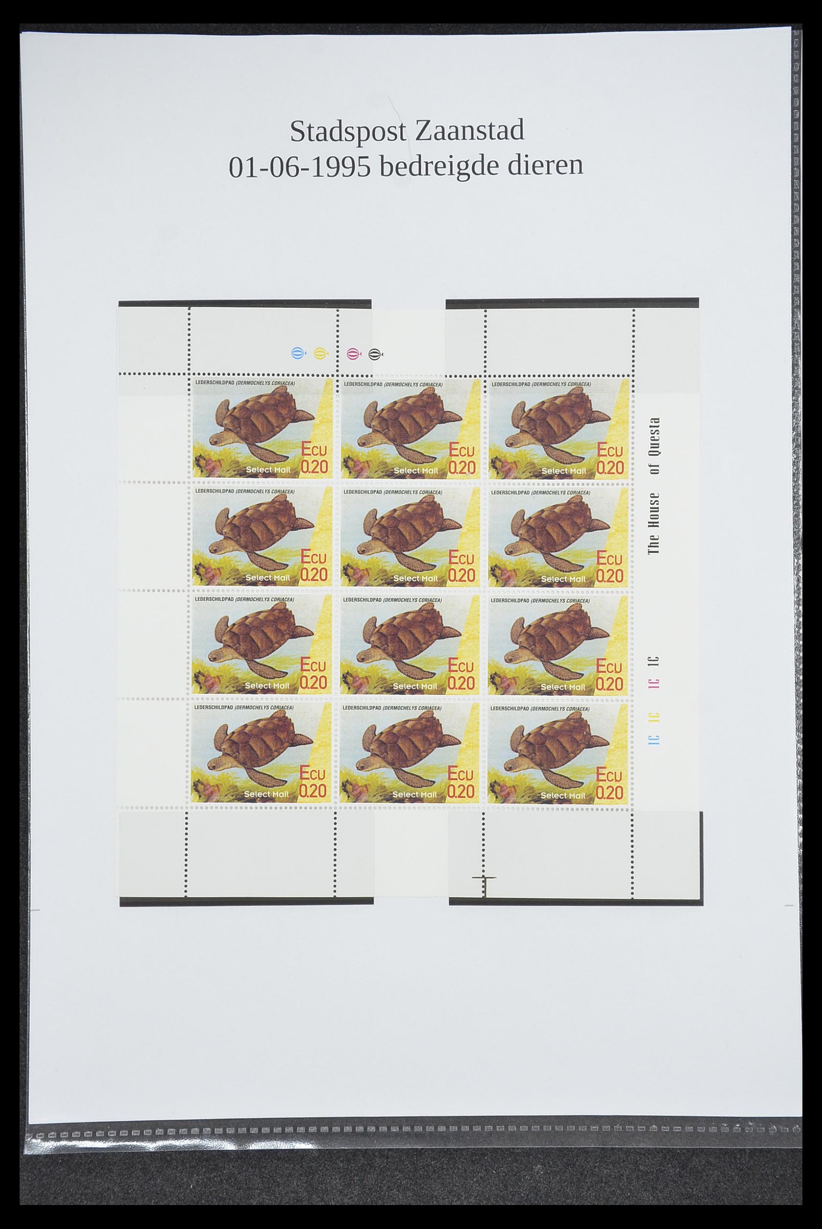 33500 0952 - Postzegelverzameling 33500 Nederland stadspost 1969-2019!!
