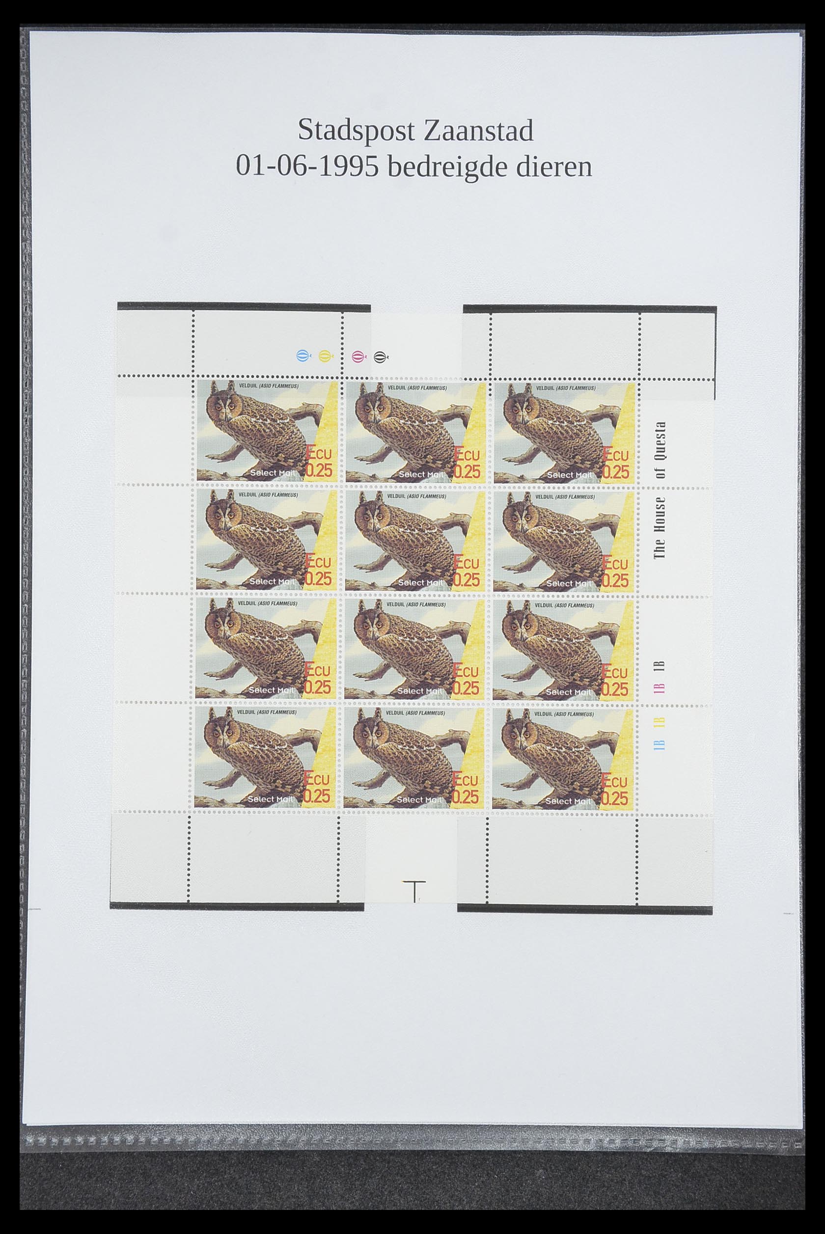 33500 0953 - Postzegelverzameling 33500 Nederland stadspost 1969-2019!!