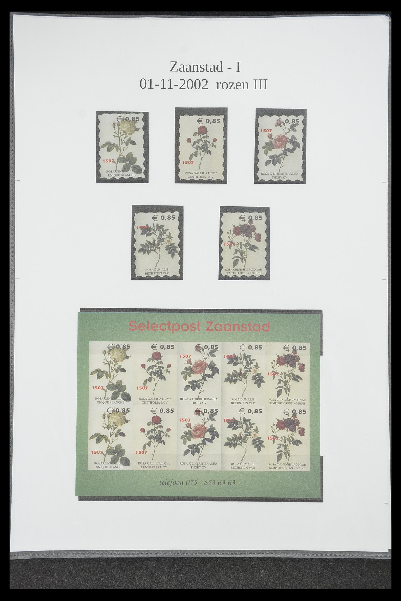 33500 1025 - Postzegelverzameling 33500 Nederland stadspost 1969-2019!!