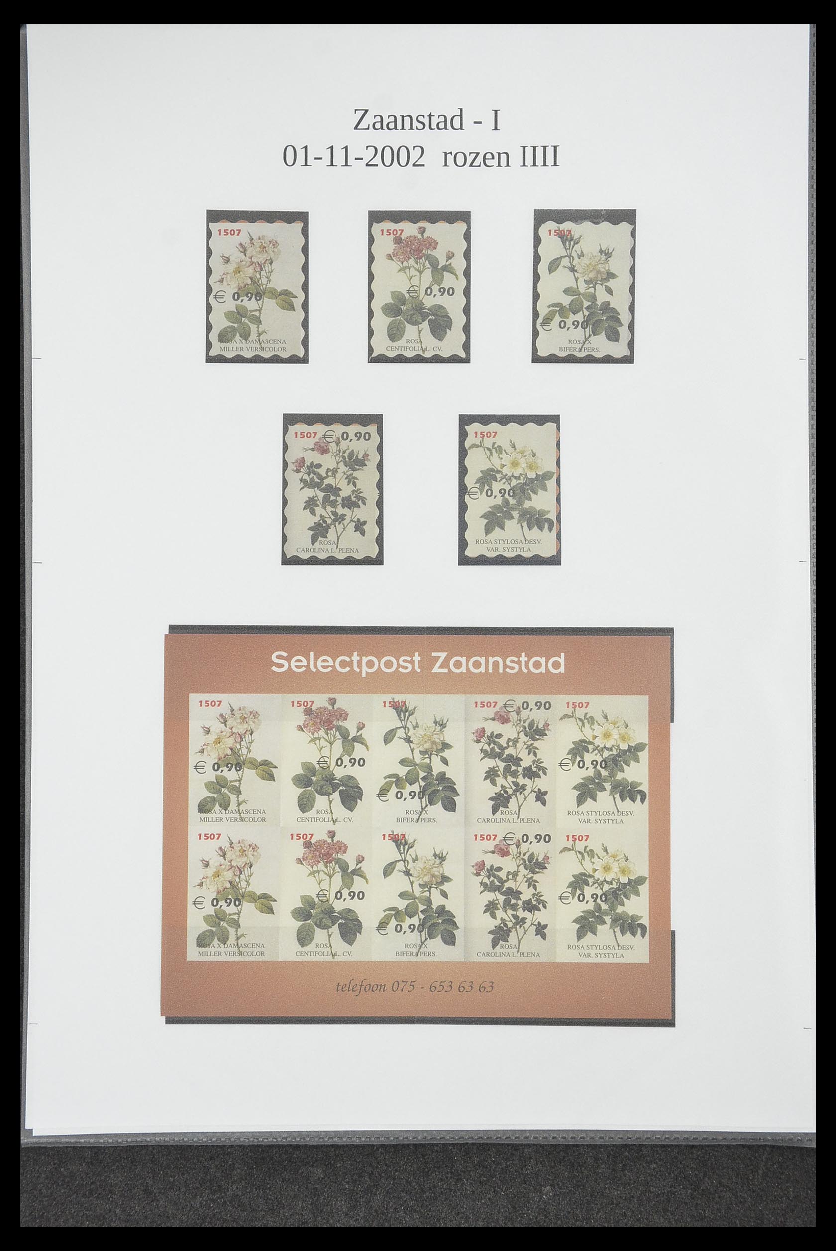 33500 1026 - Postzegelverzameling 33500 Nederland stadspost 1969-2019!!
