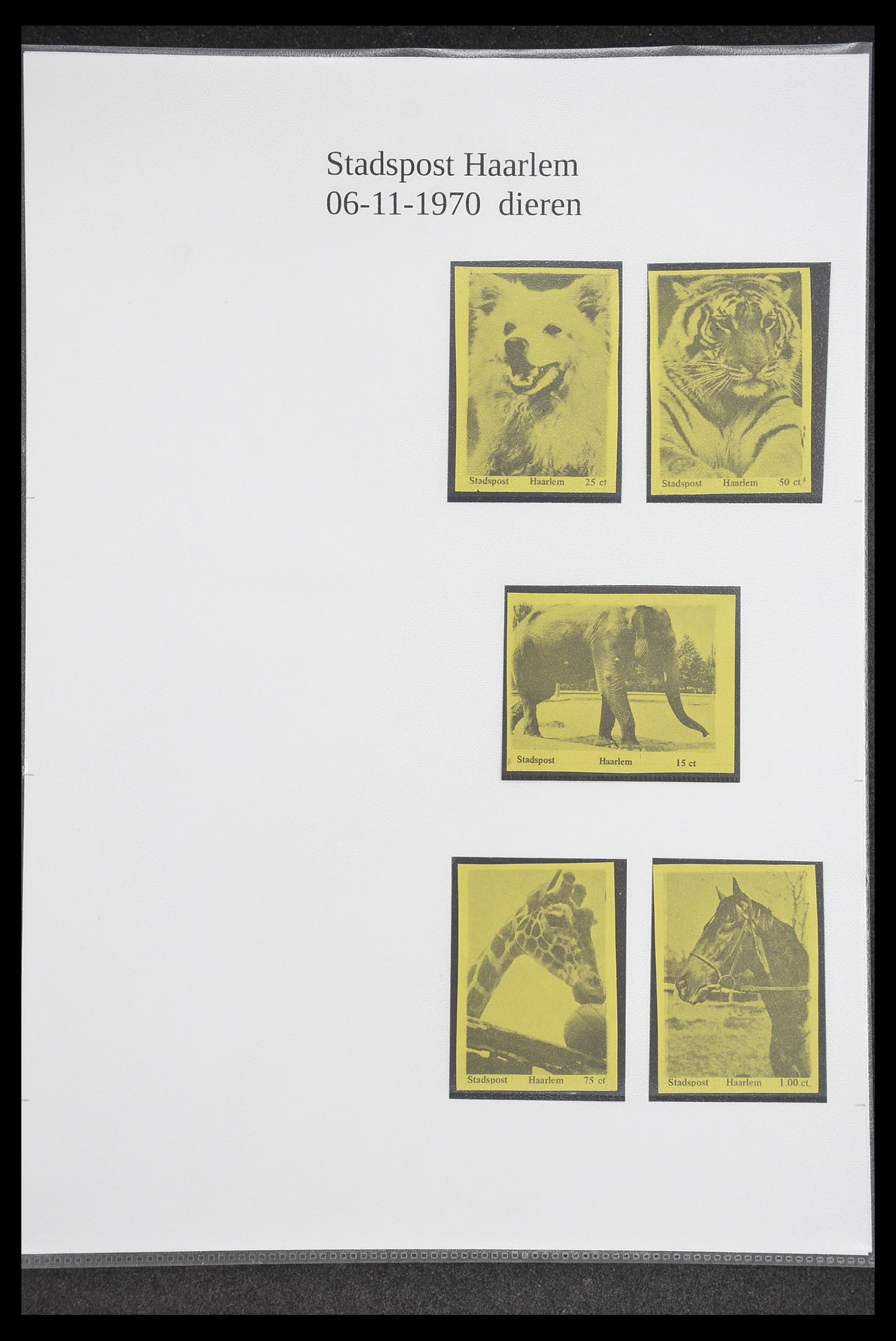 33500 1462 - Postzegelverzameling 33500 Nederland stadspost 1969-2019!!